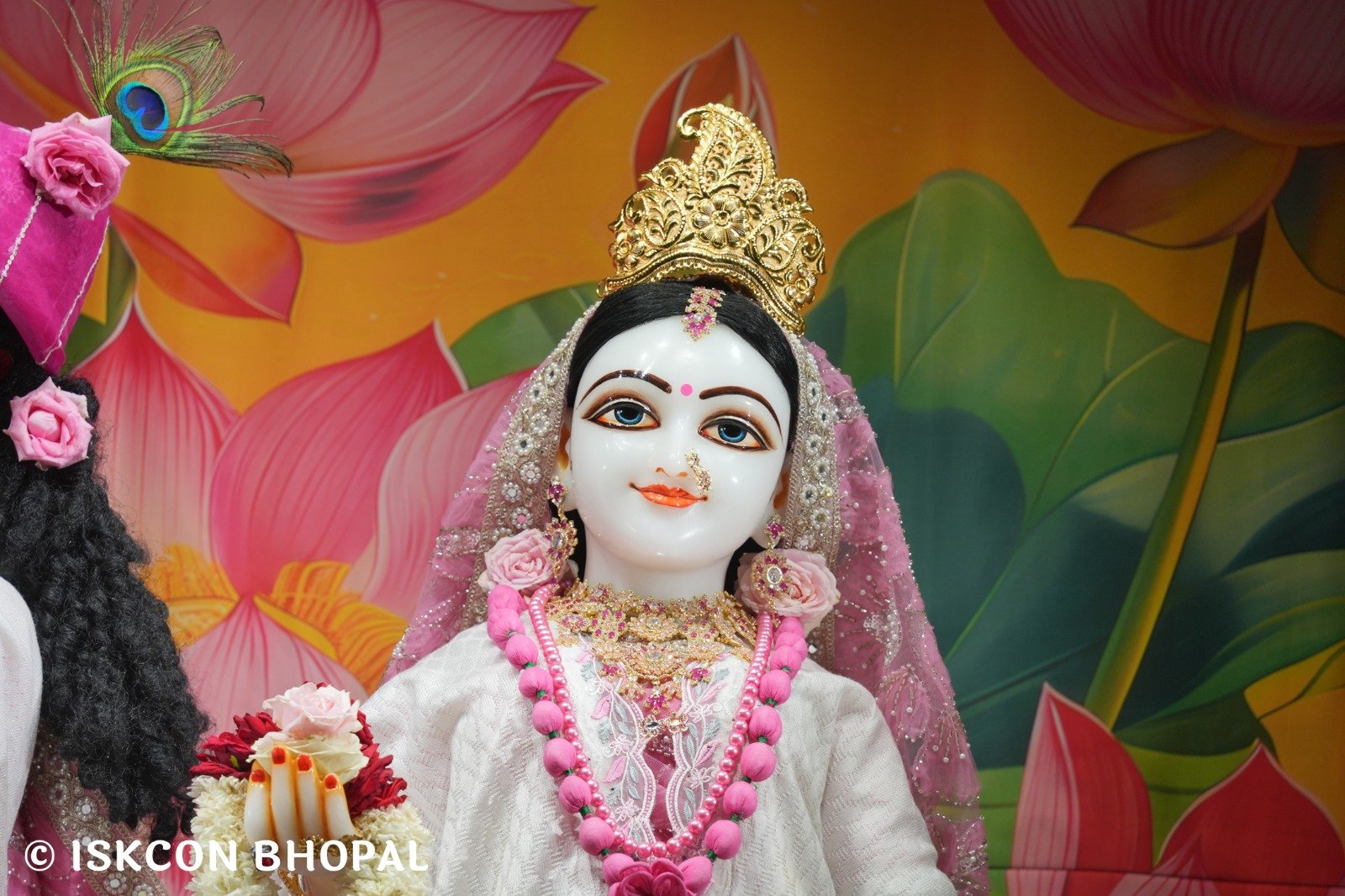 WhatsApp Image 2025-11-17 at 7.10.12 AM (1)