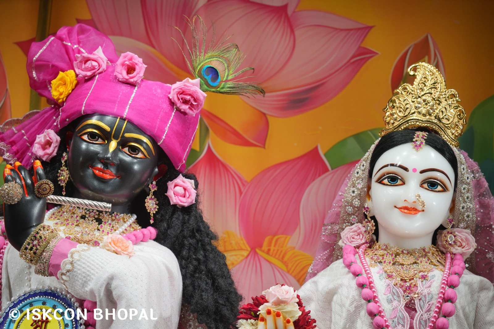 WhatsApp Image 2025-11-17 at 7.10.12 AM (2)