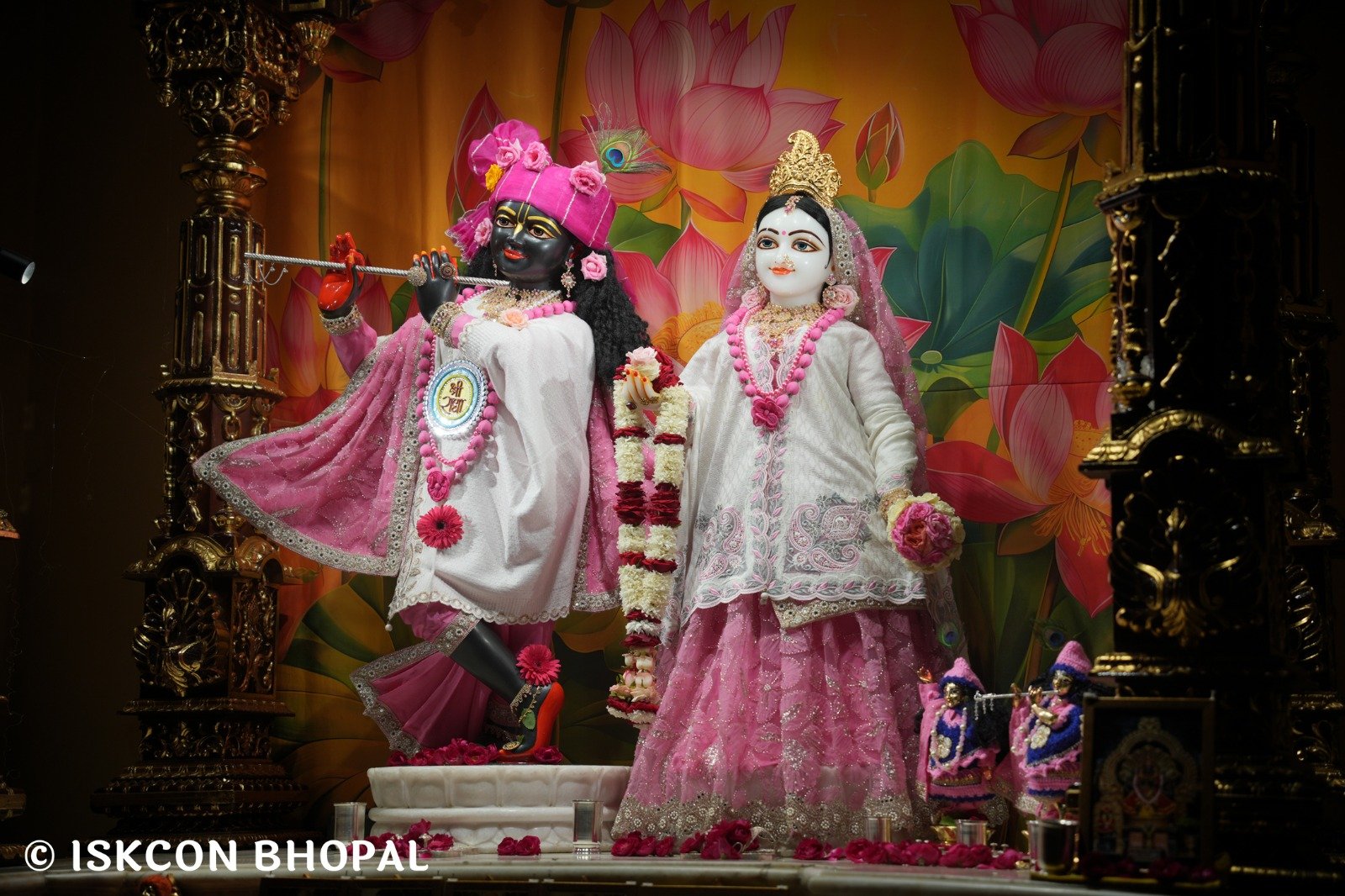 WhatsApp Image 2025-11-17 at 7.10.14 AM (1)