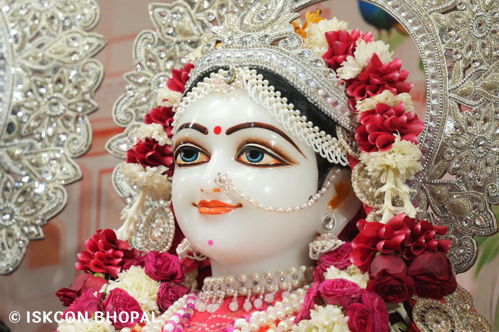 WhatsApp Image 2025-11-17 at 7.59.29 AM (1)