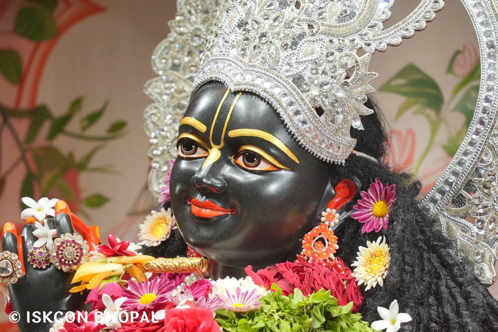 WhatsApp Image 2025-11-17 at 7.59.29 AM (2)