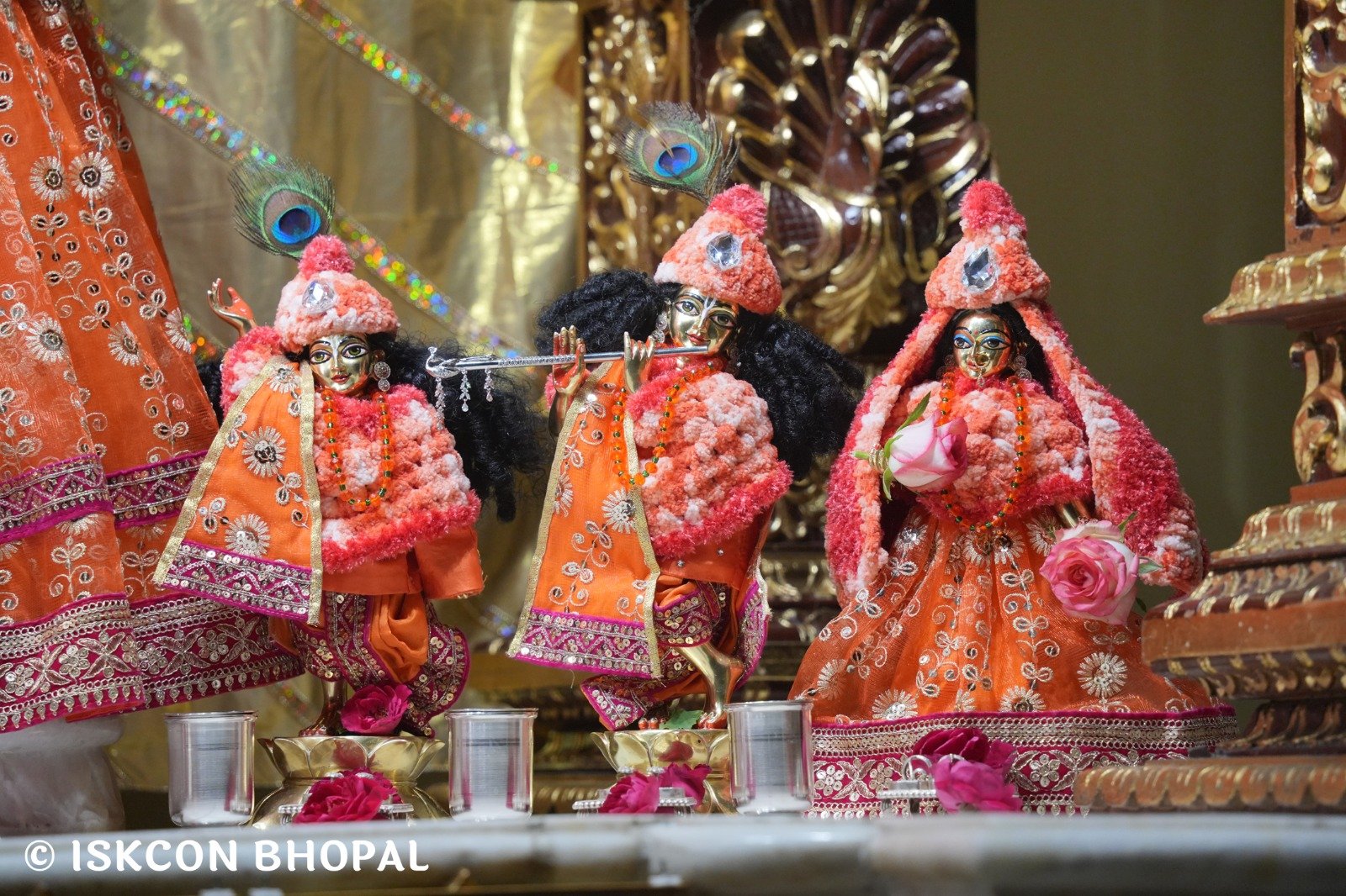 WhatsApp Image 2025-11-20 at 7.06.17 AM (1)