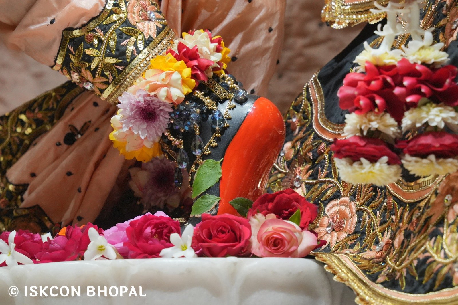 WhatsApp Image 2025-11-20 at 7.50.27 AM (1)