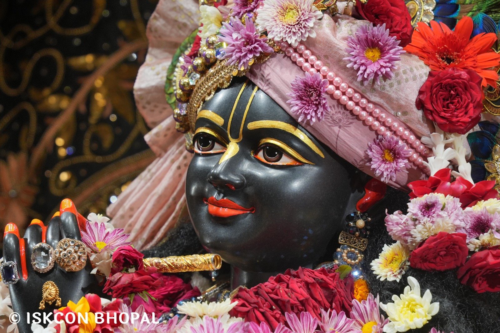 WhatsApp Image 2025-11-20 at 7.50.27 AM (2)