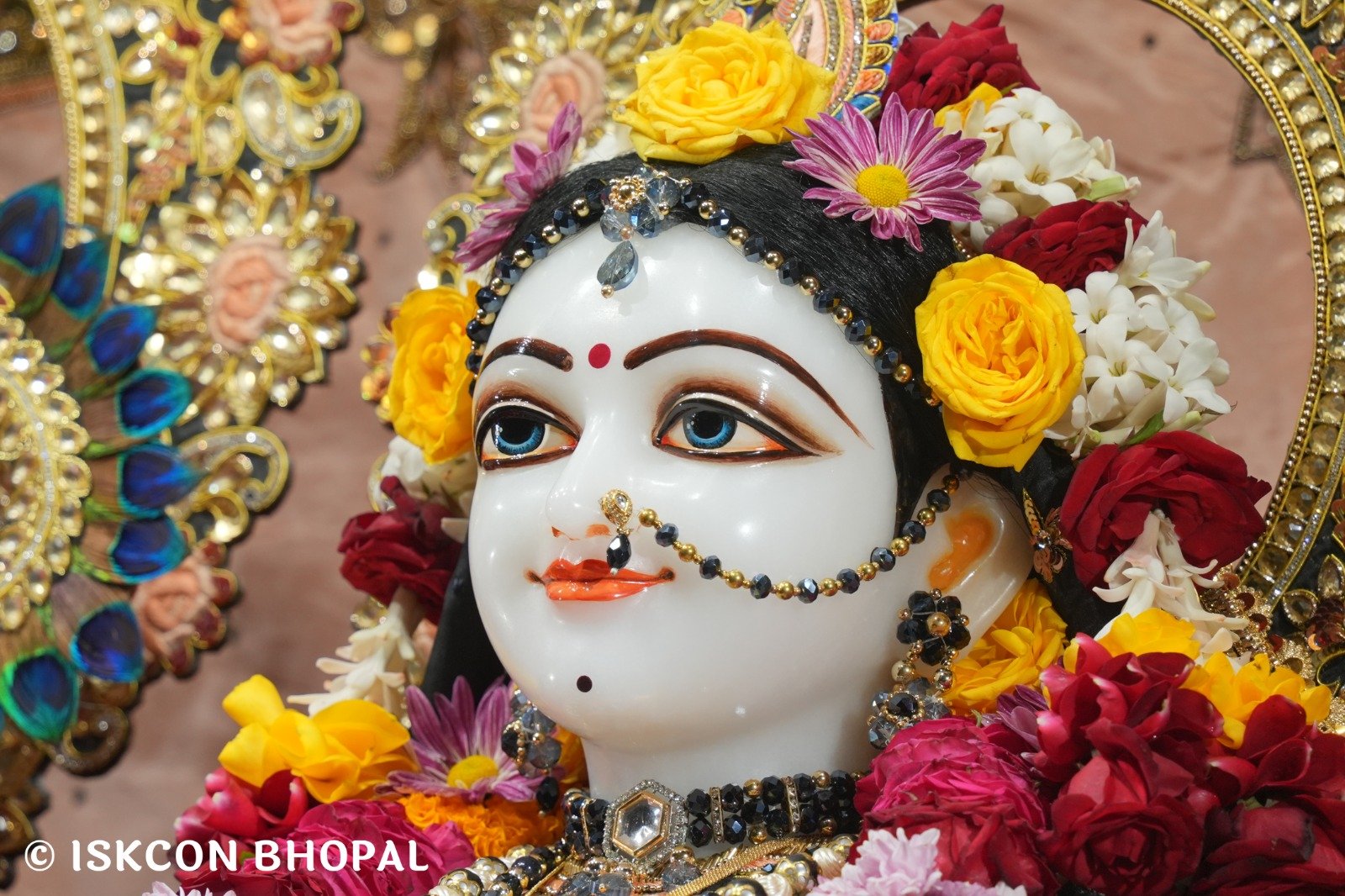 WhatsApp Image 2025-11-20 at 7.50.27 AM