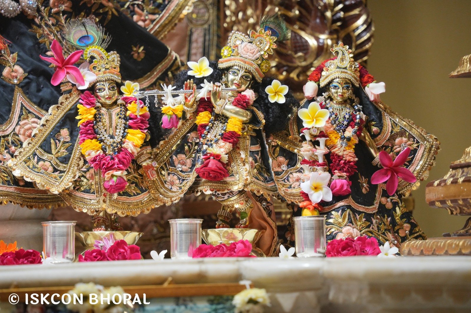 WhatsApp Image 2025-11-20 at 7.50.28 AM (1)