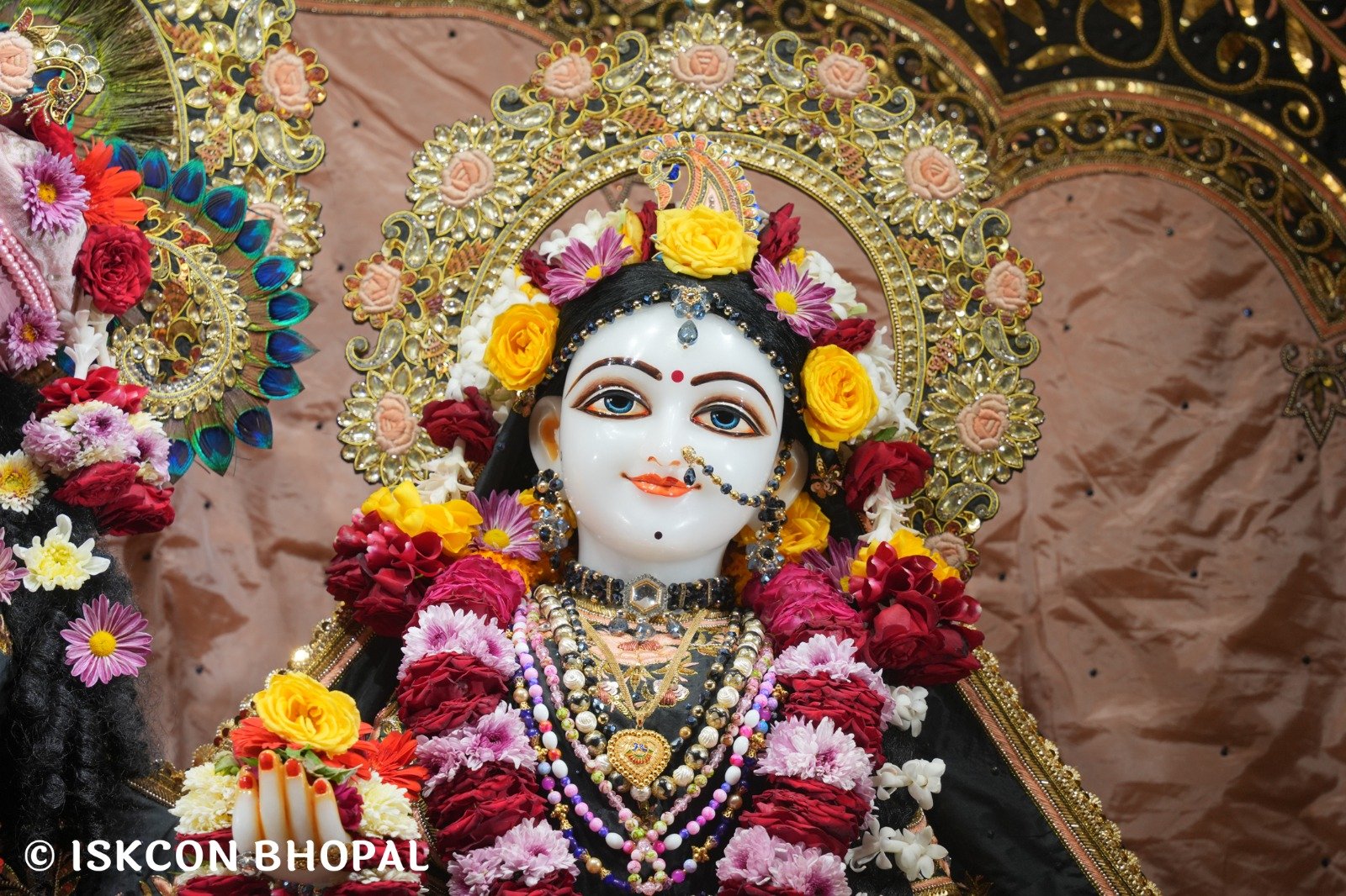 WhatsApp Image 2025-11-20 at 7.50.28 AM (2)