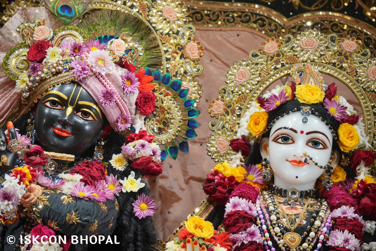 WhatsApp Image 2025-11-20 at 7.50.28 AM (5)