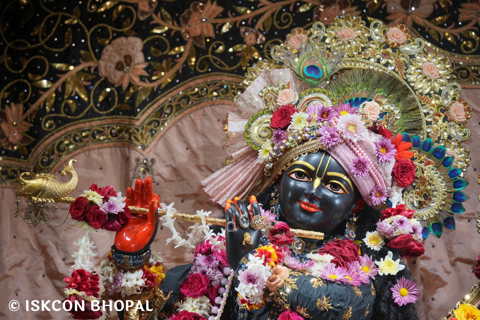 WhatsApp Image 2025-11-20 at 7.50.28 AM