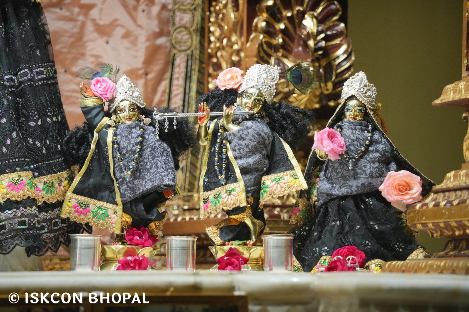 WhatsApp Image 2025-11-21 at 7.14.00 AM