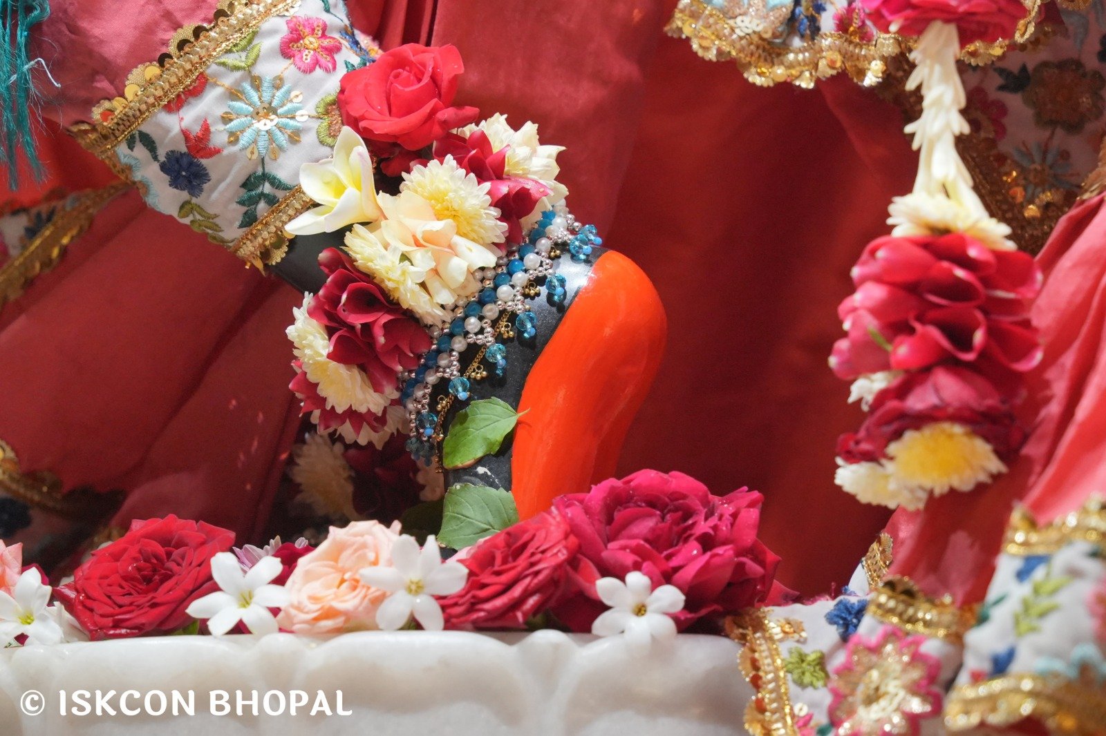 WhatsApp Image 2025-11-21 at 7.54.49 AM