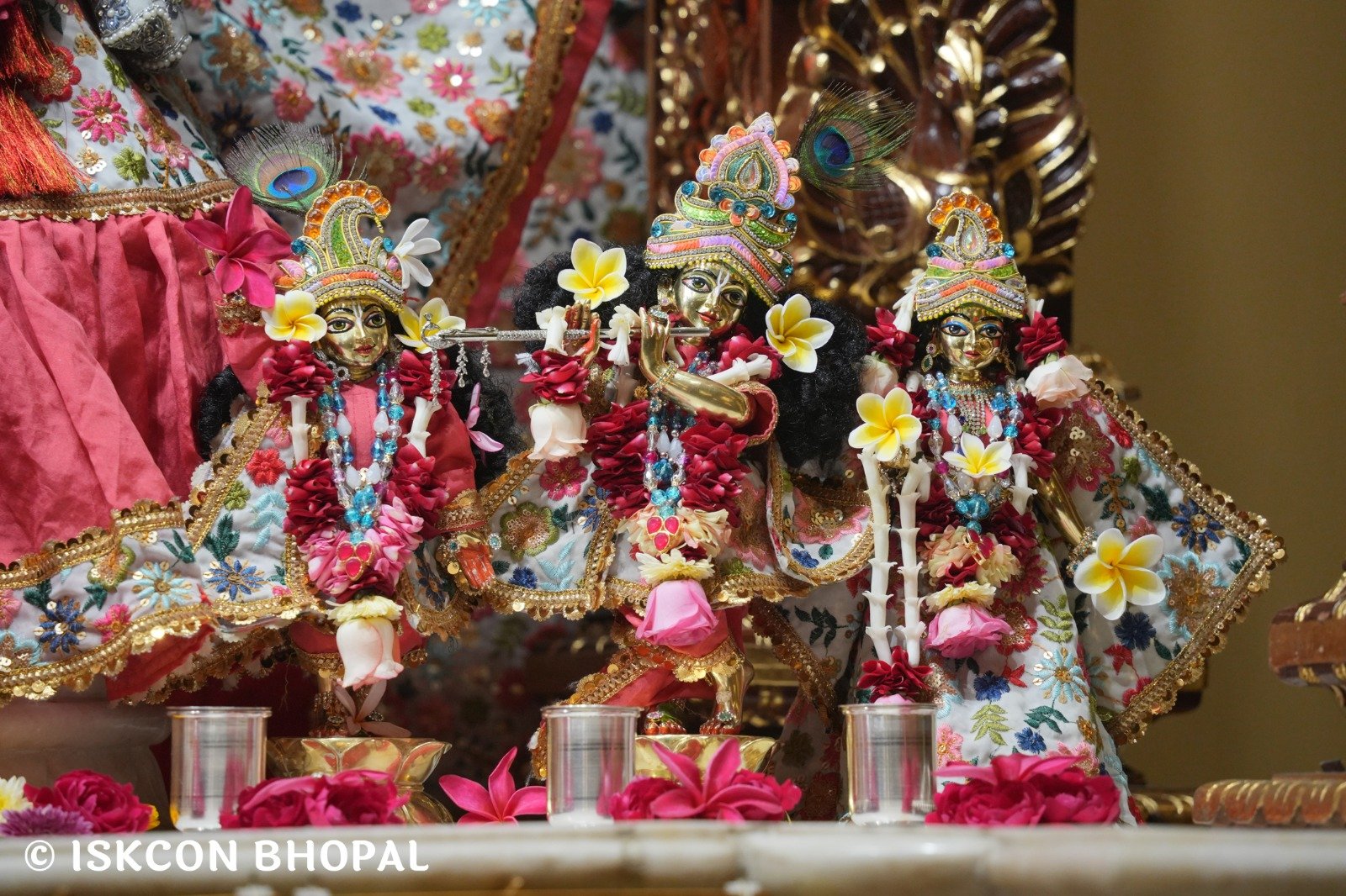 WhatsApp Image 2025-11-21 at 7.54.50 AM (2)