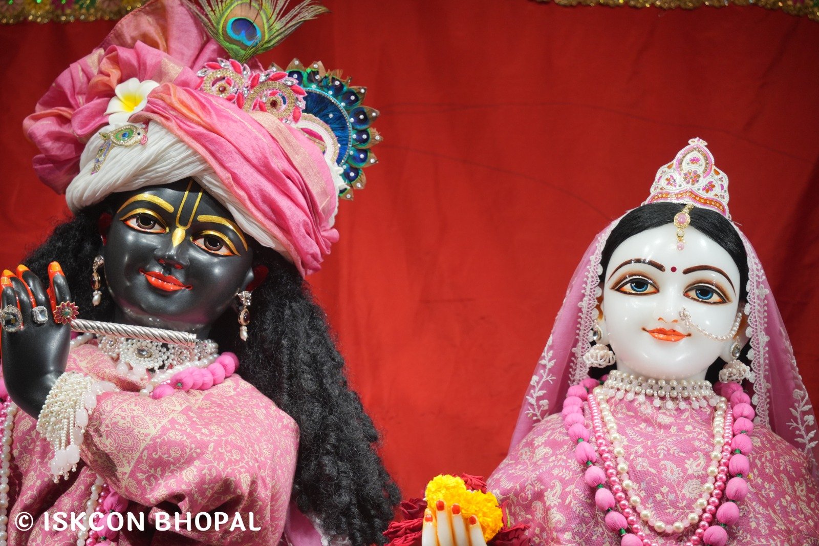 WhatsApp Image 2025-11-22 at 7.04.42 AM