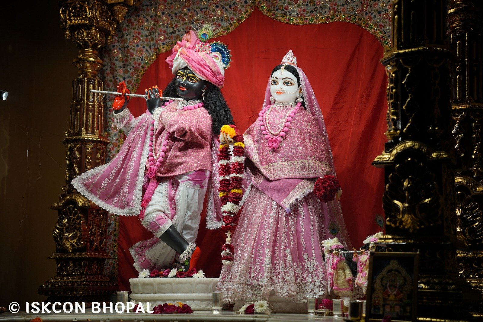 WhatsApp Image 2025-11-22 at 7.04.45 AM (1)