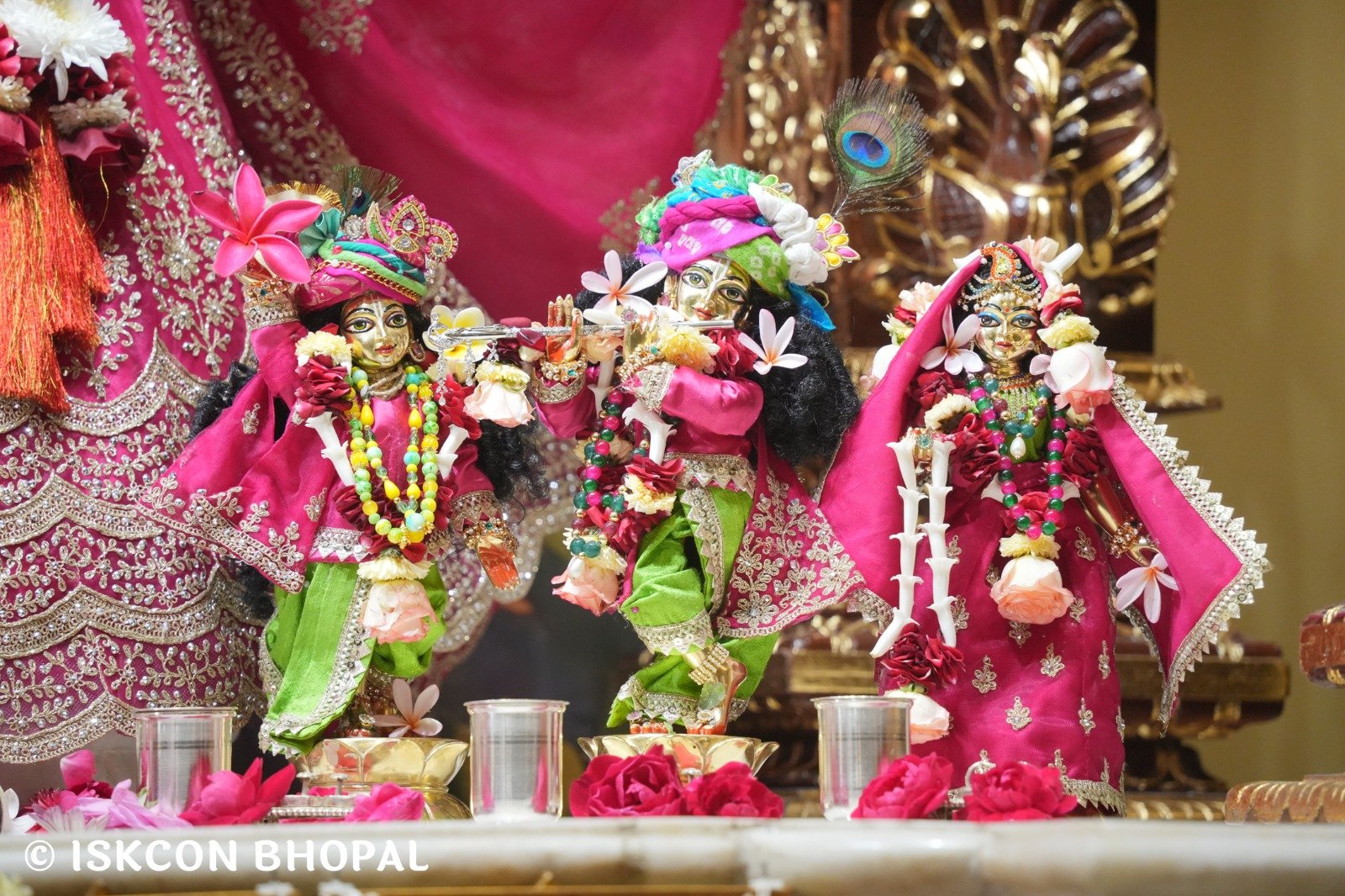 WhatsApp Image 2025-11-22 at 7.54.01 AM (5)