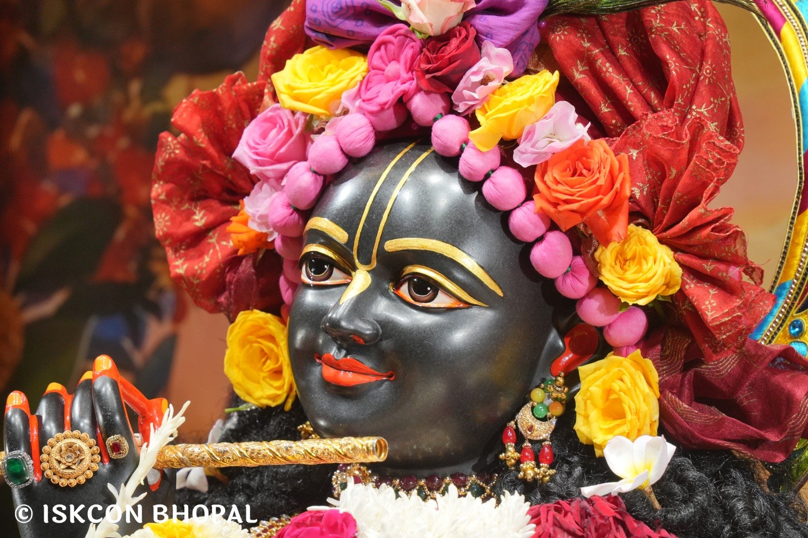 WhatsApp Image 2025-11-22 at 7.54.01 AM