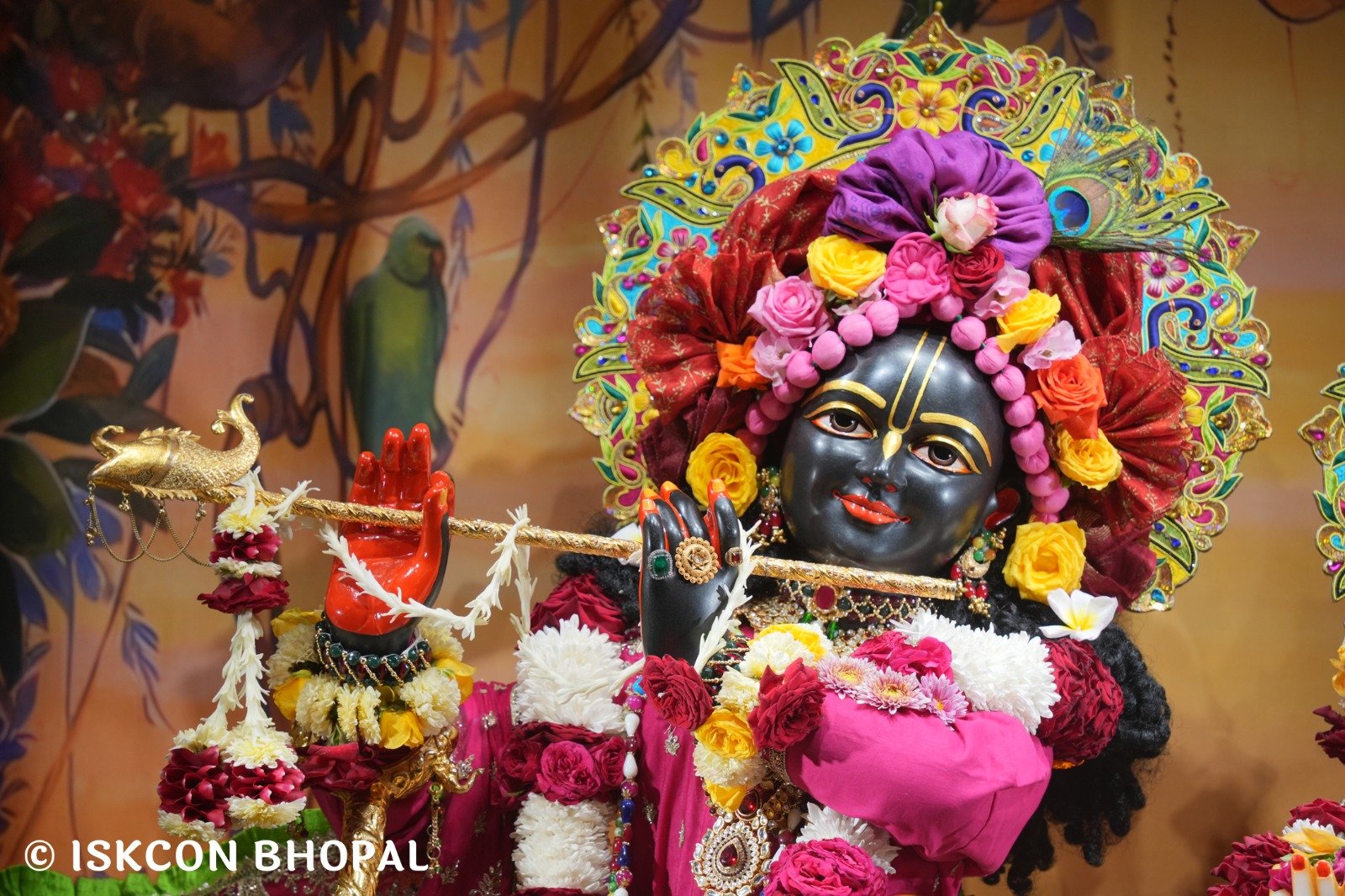 WhatsApp Image 2025-11-22 at 7.54.02 AM