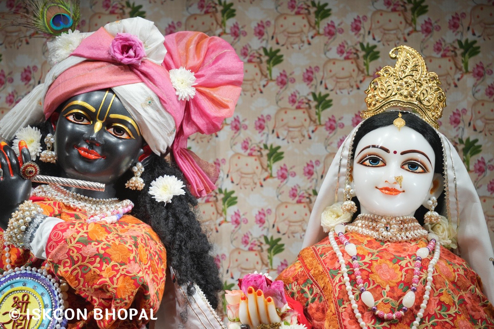 WhatsApp Image 2025-11-24 at 7.15.28 AM