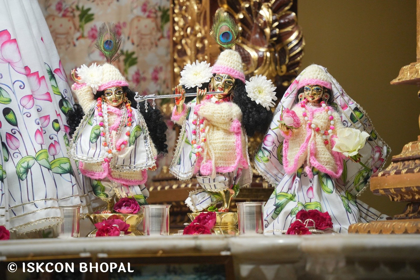 WhatsApp Image 2025-11-24 at 7.15.30 AM (1)