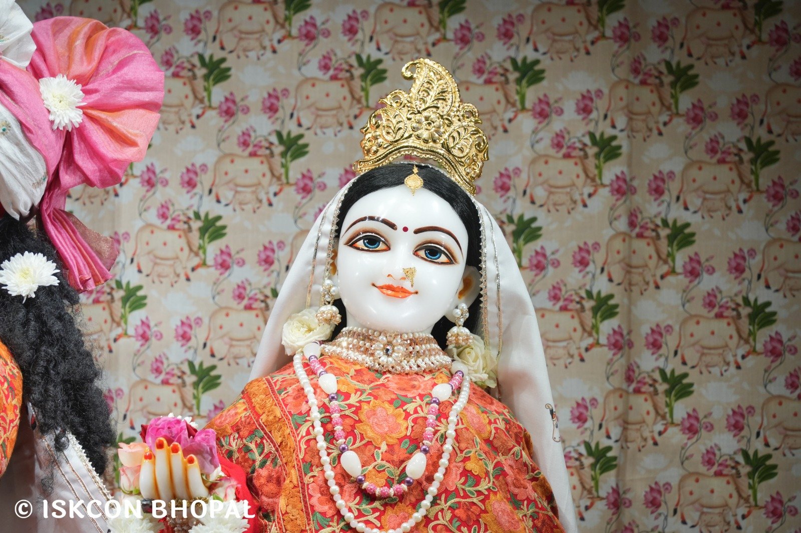 WhatsApp Image 2025-11-24 at 7.15.30 AM (2)