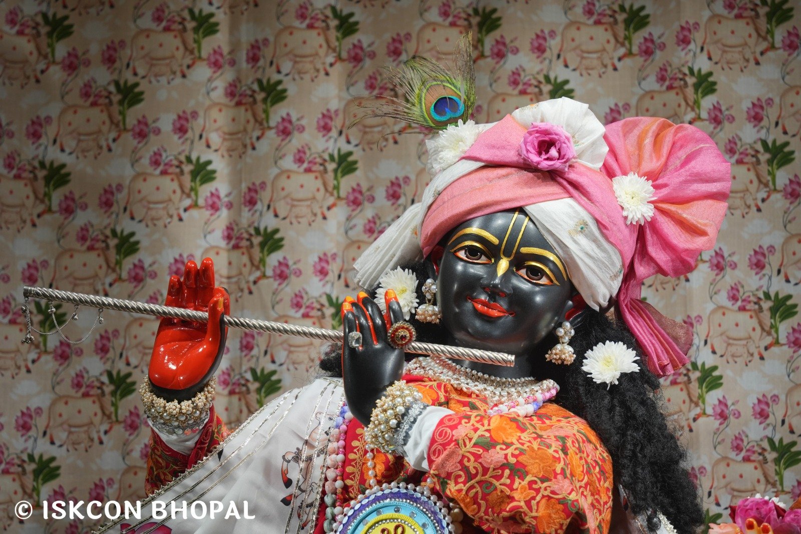 WhatsApp Image 2025-11-24 at 7.15.30 AM