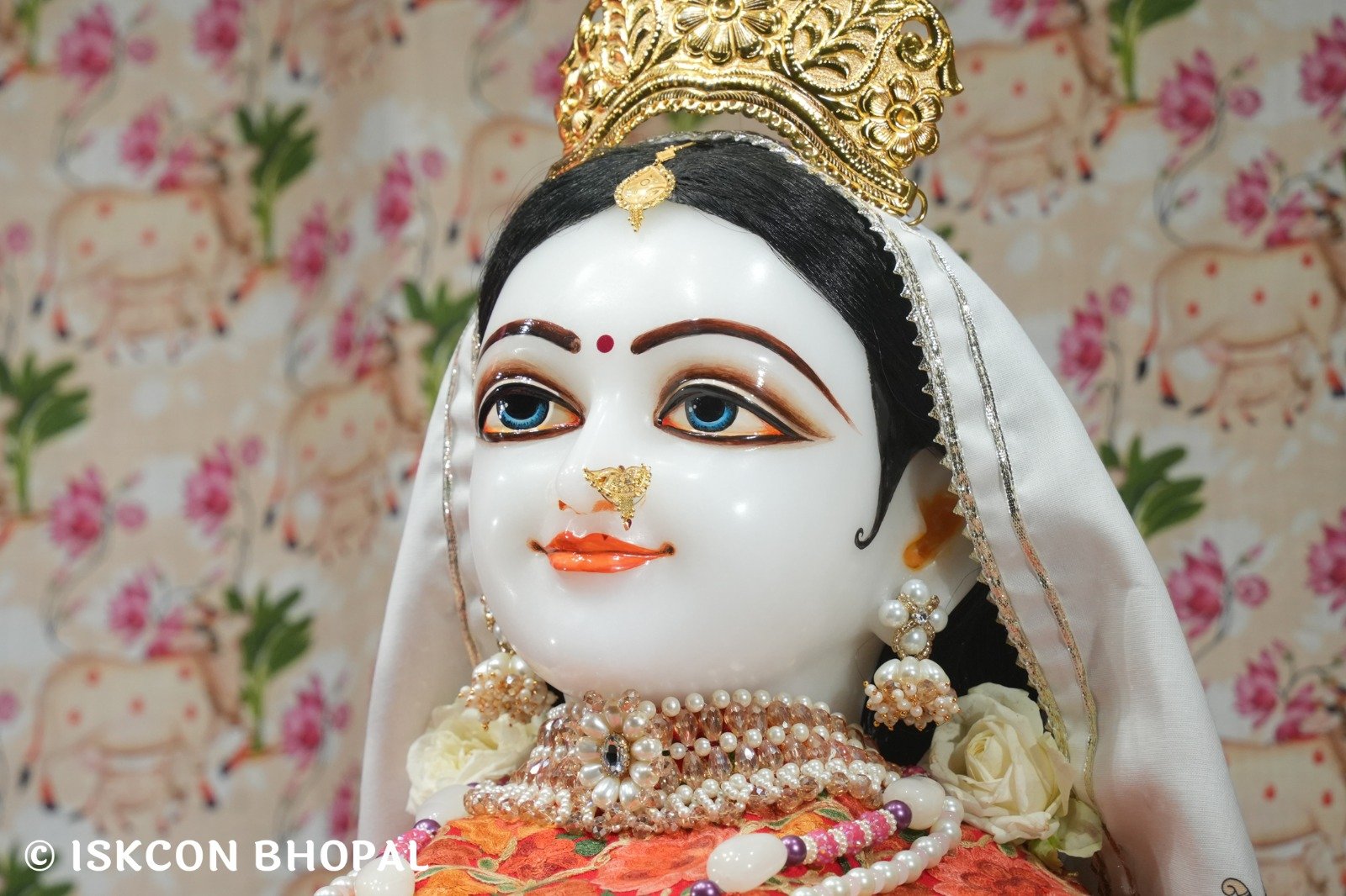 WhatsApp Image 2025-11-24 at 7.15.32 AM