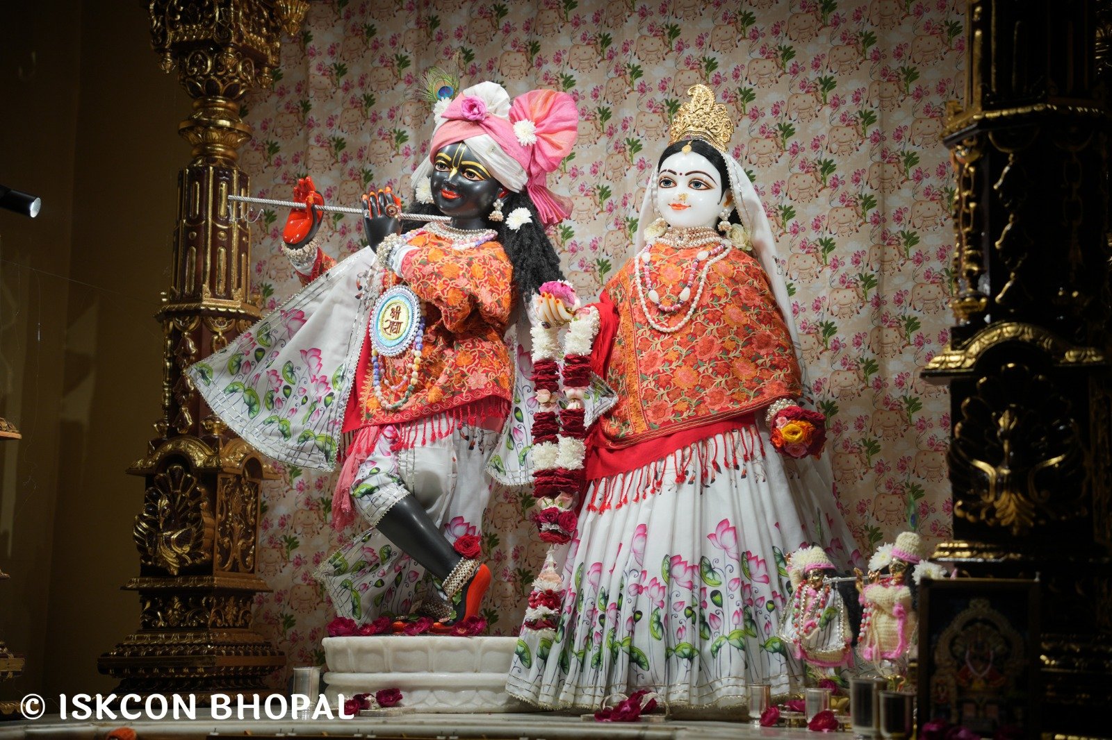 WhatsApp Image 2025-11-24 at 7.15.33 AM