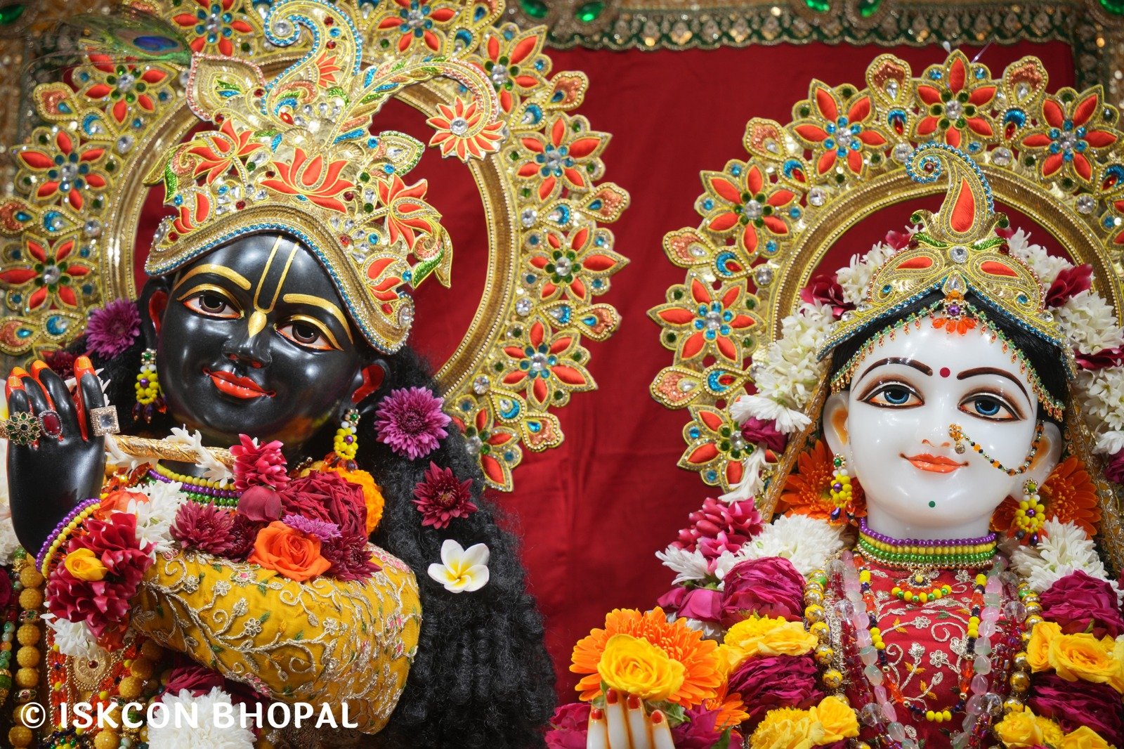 WhatsApp Image 2025-11-24 at 8.01.28 AM (1)