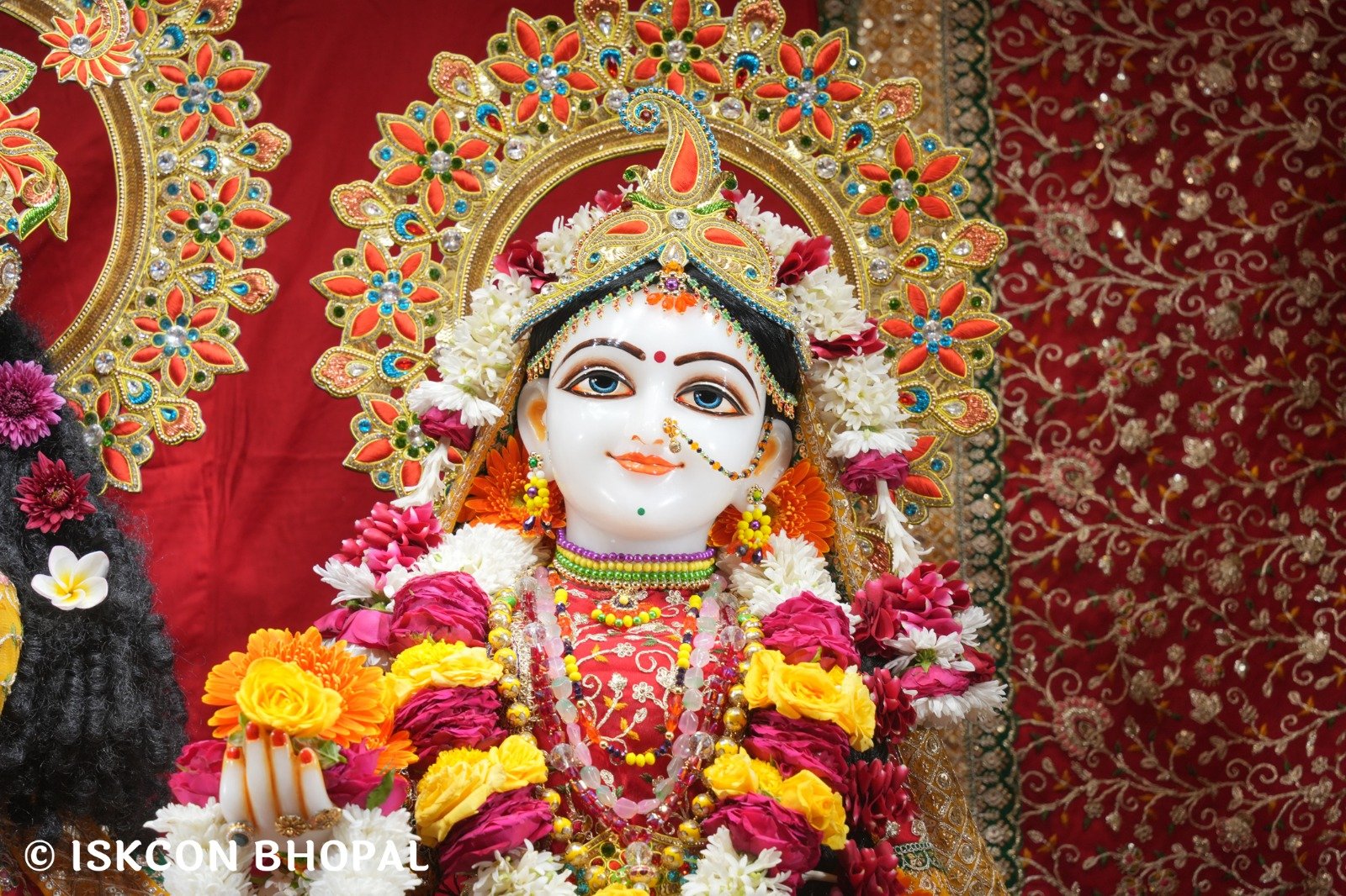 WhatsApp Image 2025-11-24 at 8.01.28 AM (2)