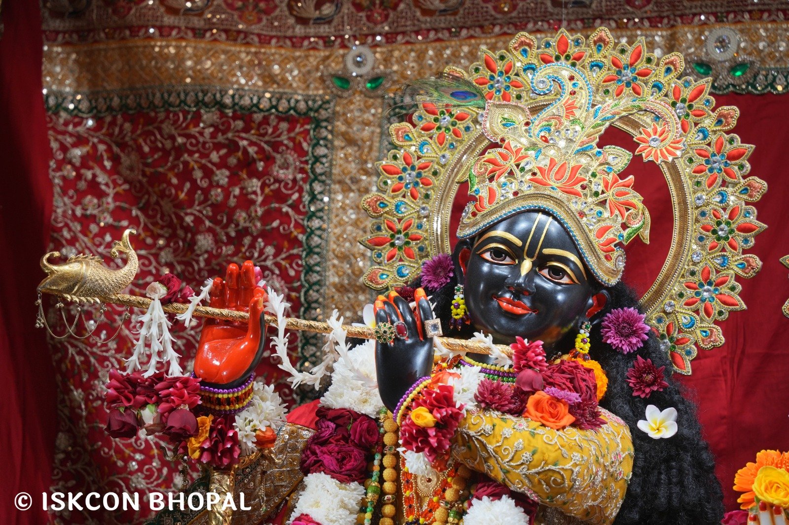 WhatsApp Image 2025-11-24 at 8.01.28 AM