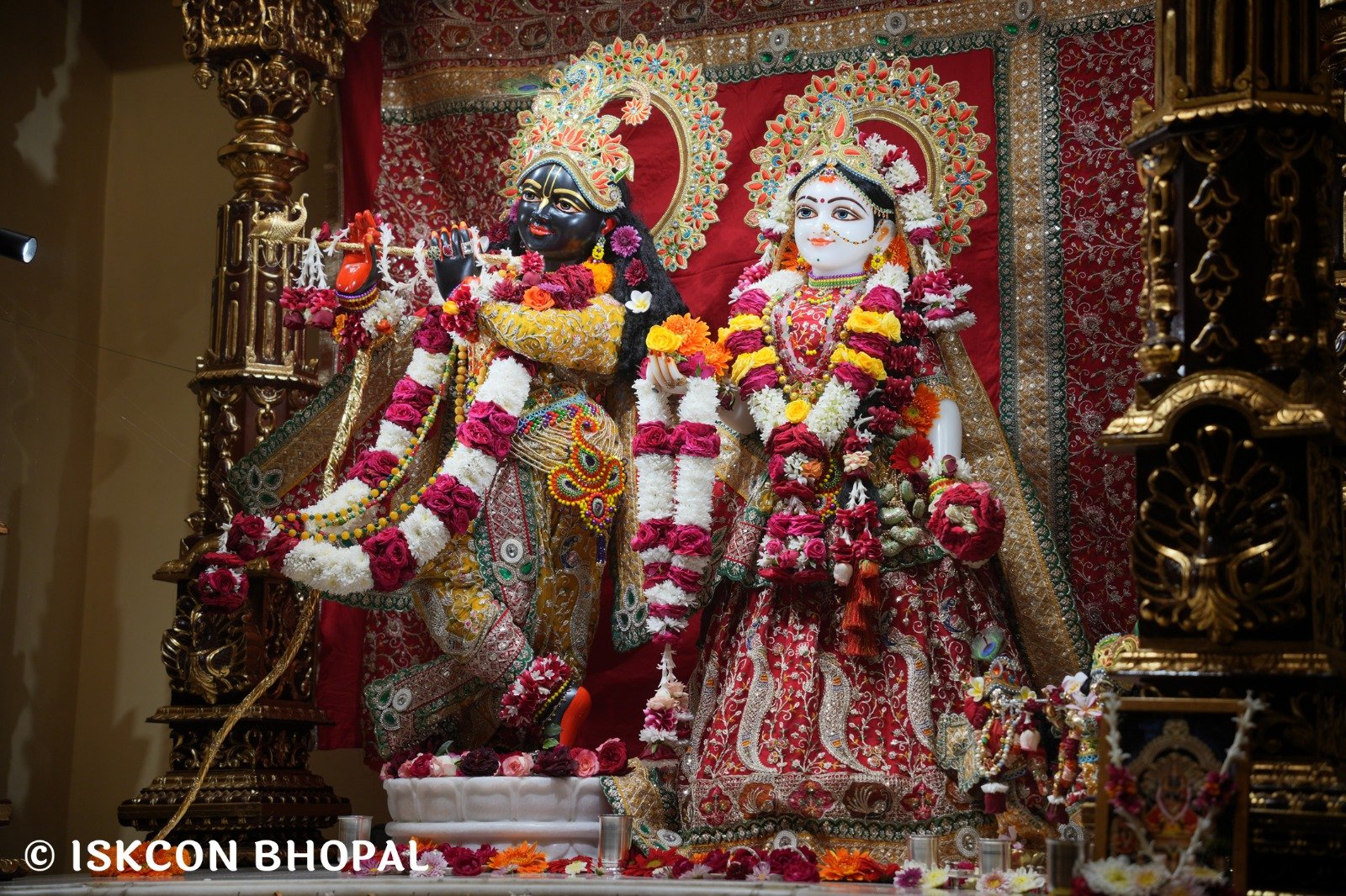 WhatsApp Image 2025-11-24 at 8.01.29 AM (1)