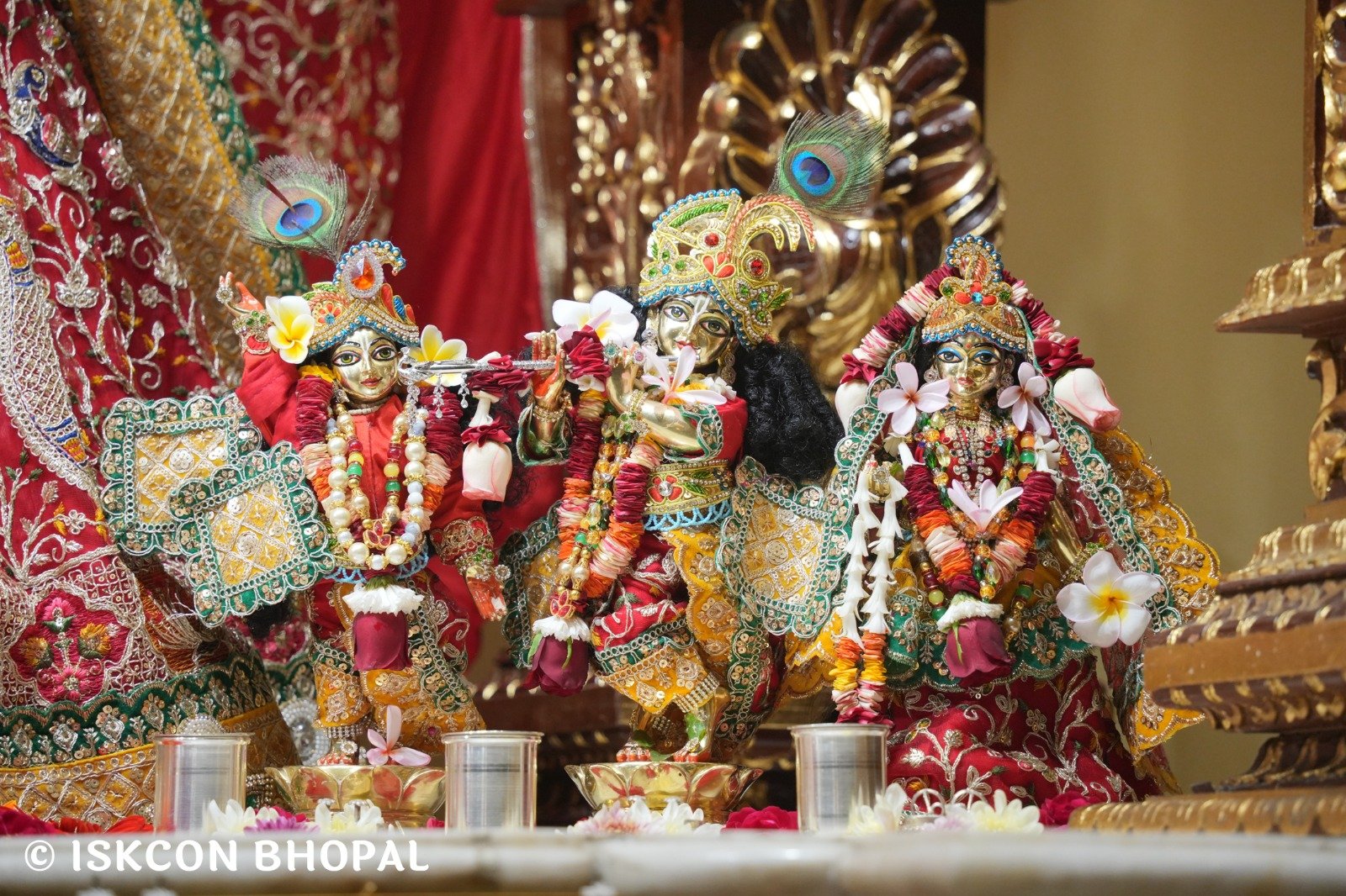 WhatsApp Image 2025-11-24 at 8.01.29 AM (3)