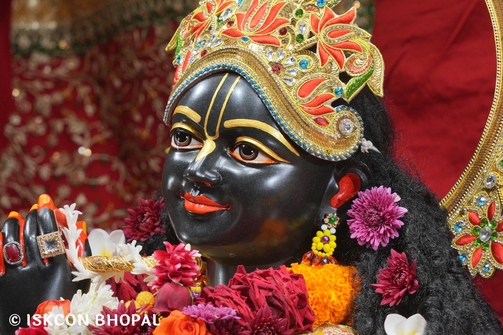 WhatsApp Image 2025-11-24 at 8.01.29 AM