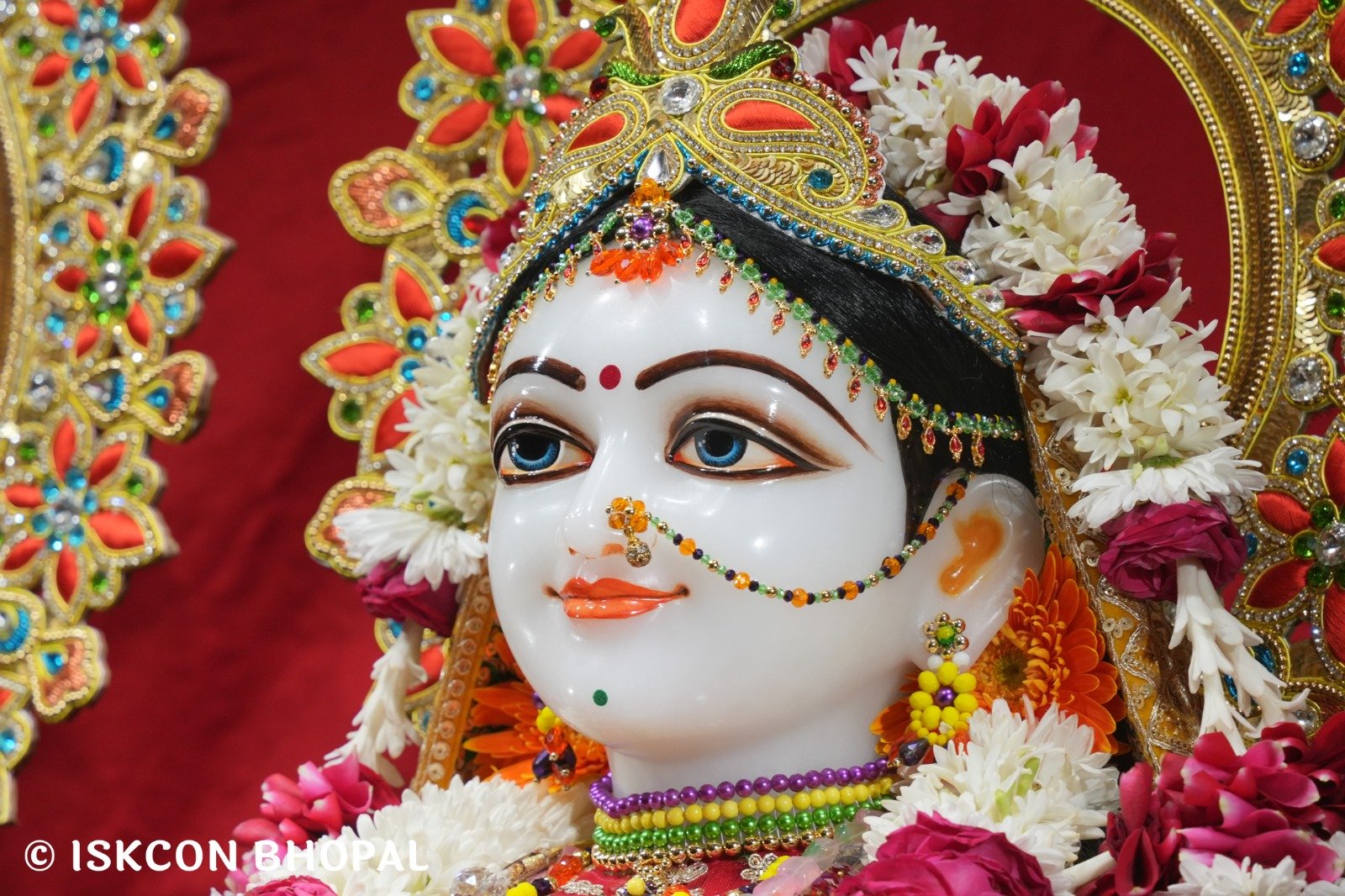 WhatsApp Image 2025-11-24 at 8.01.30 AM (1)