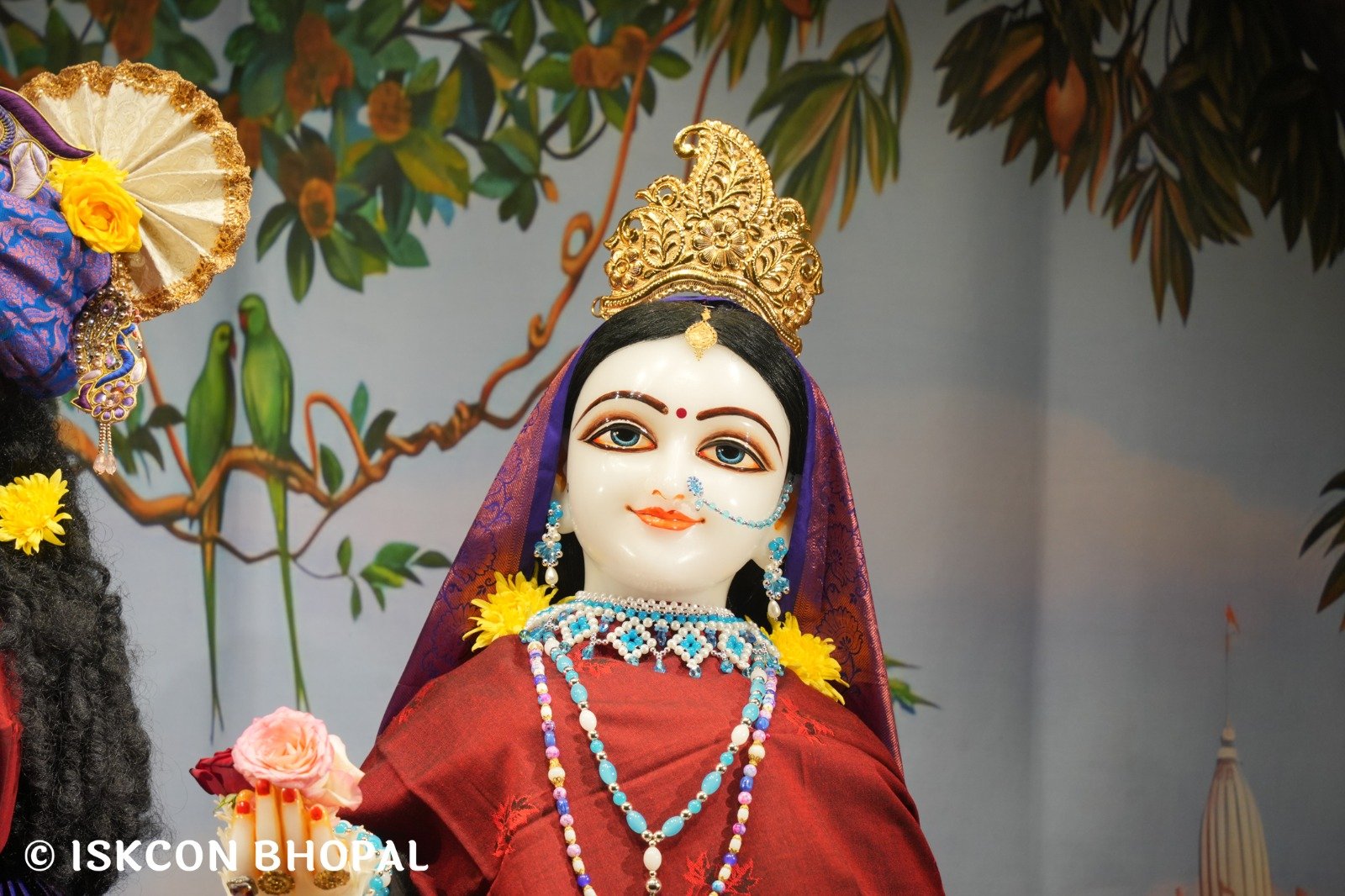 WhatsApp Image 2025-11-26 at 7.04.23 AM (2)