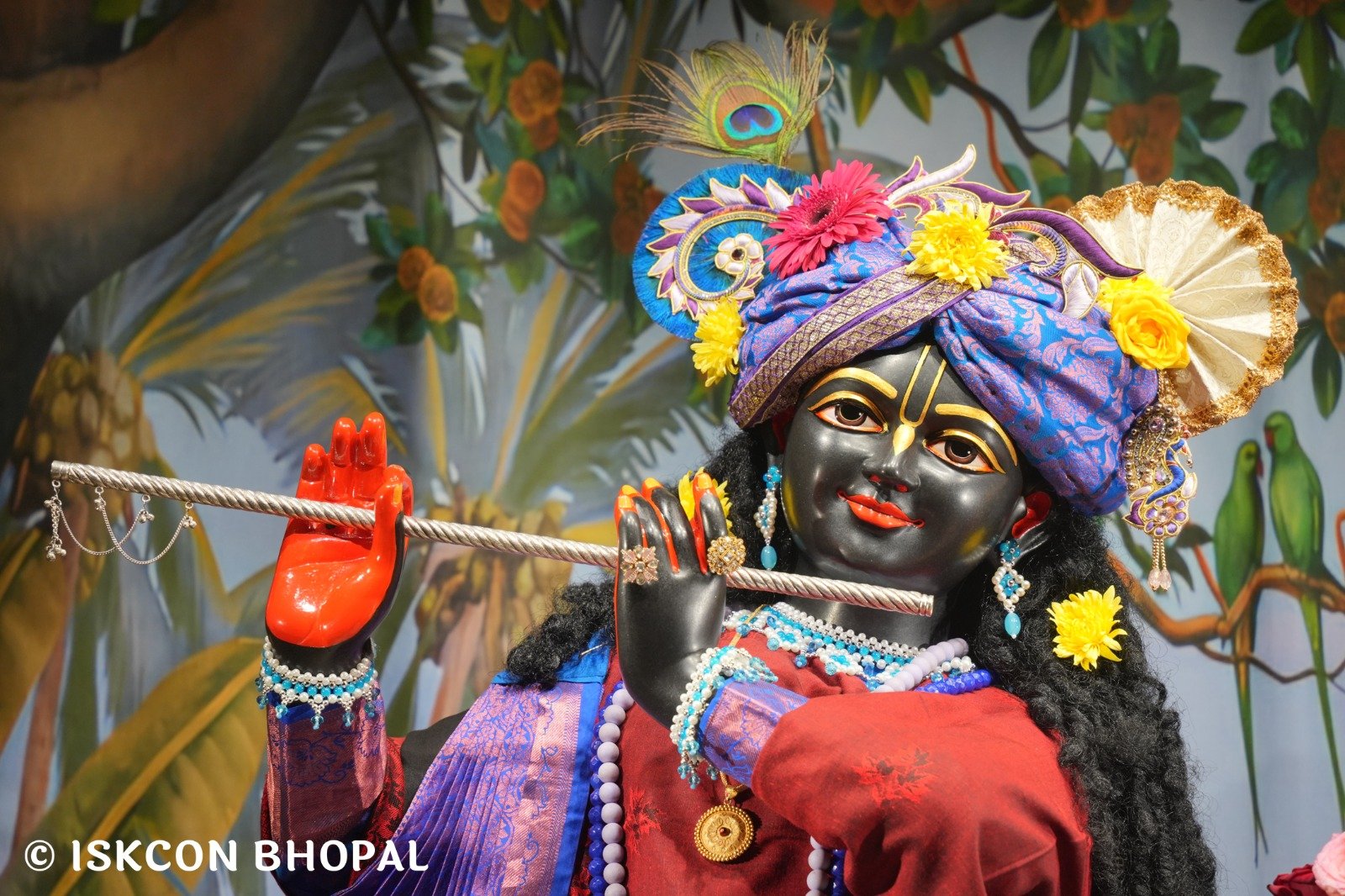 WhatsApp Image 2025-11-26 at 7.04.23 AM (3)