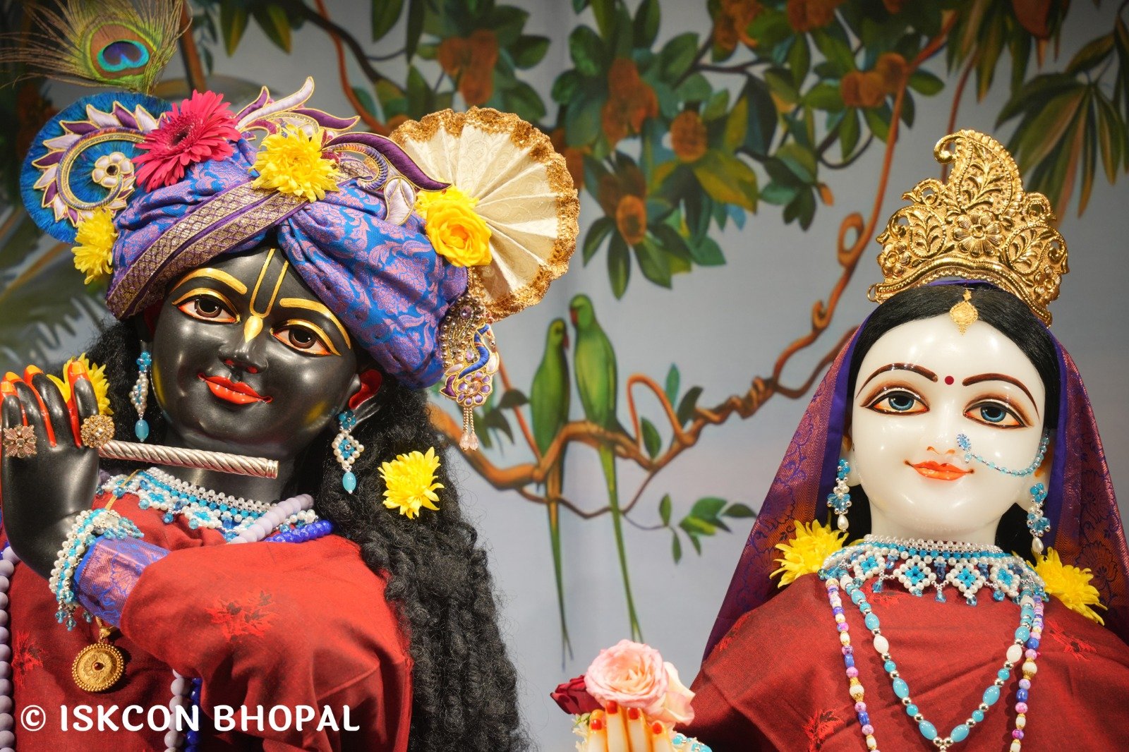 WhatsApp Image 2025-11-26 at 7.04.23 AM (4)