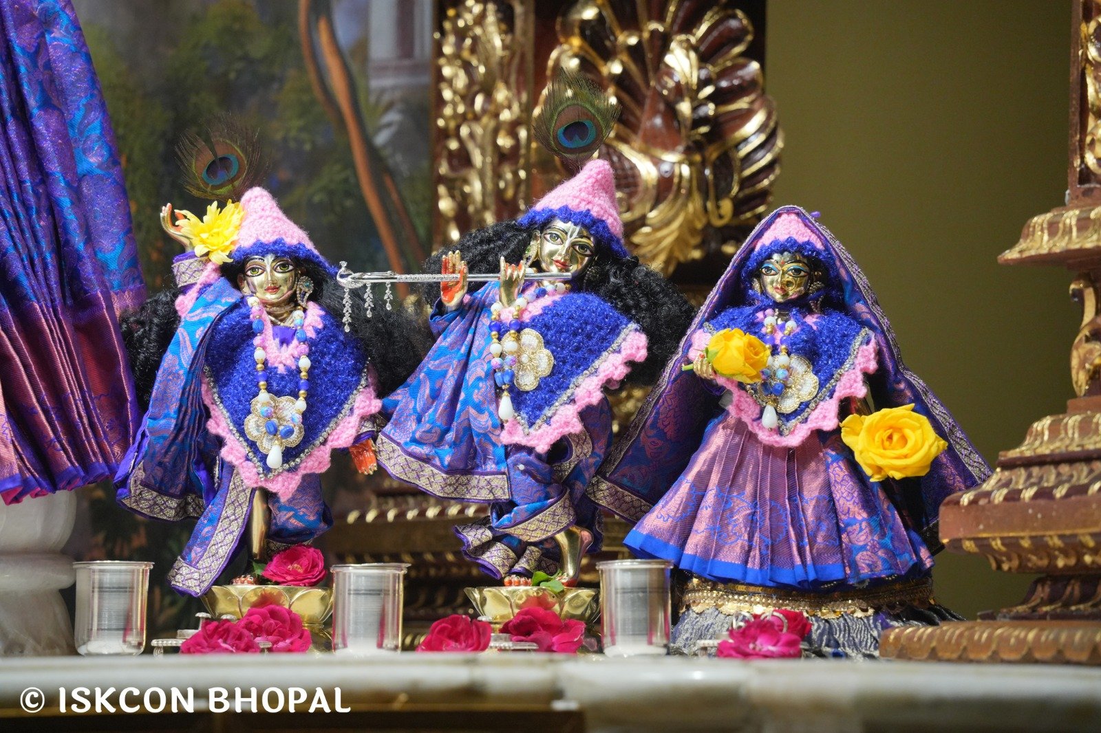 WhatsApp Image 2025-11-26 at 7.04.24 AM (1)