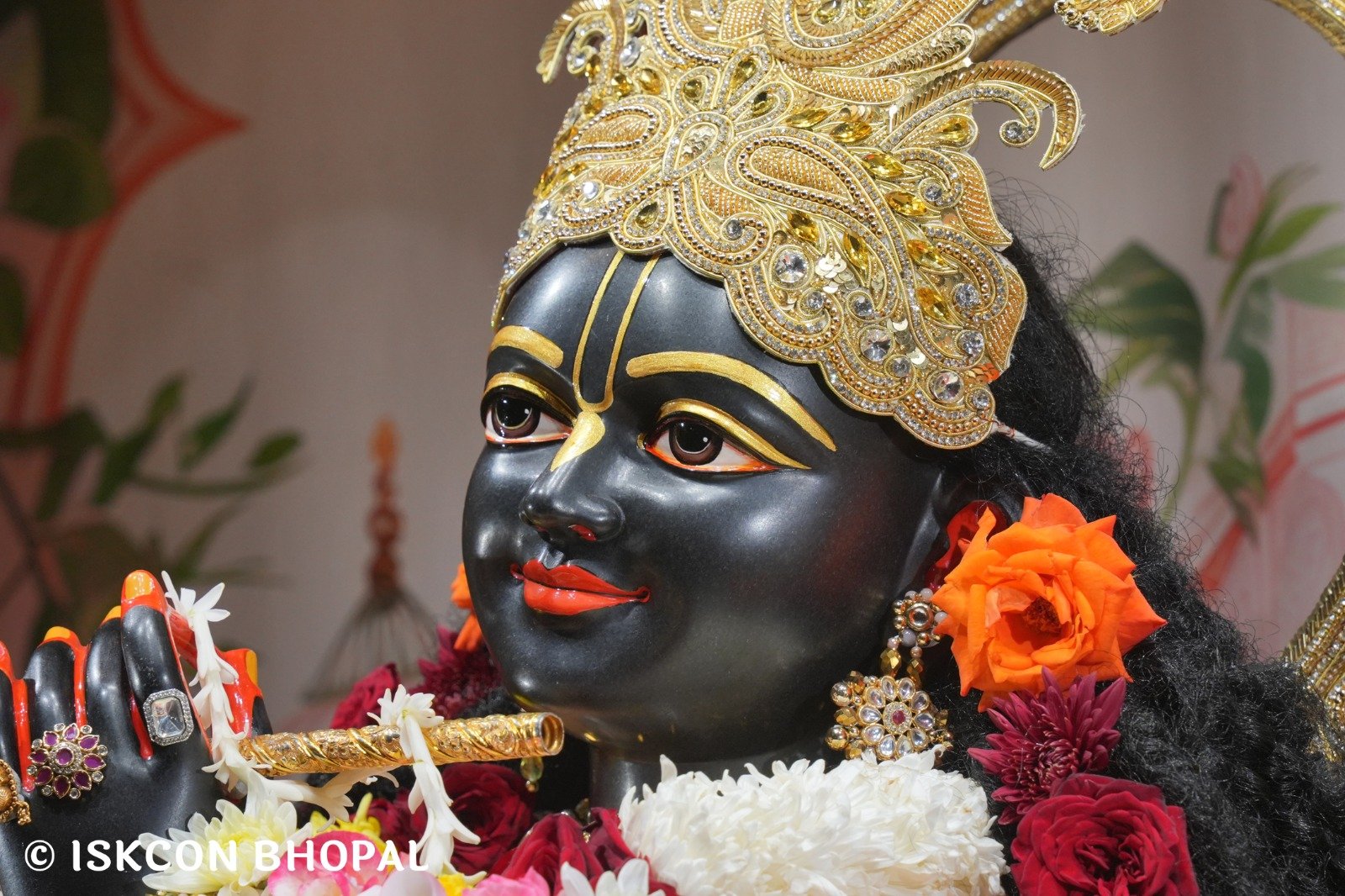 WhatsApp Image 2025-11-26 at 7.49.14 AM (1)