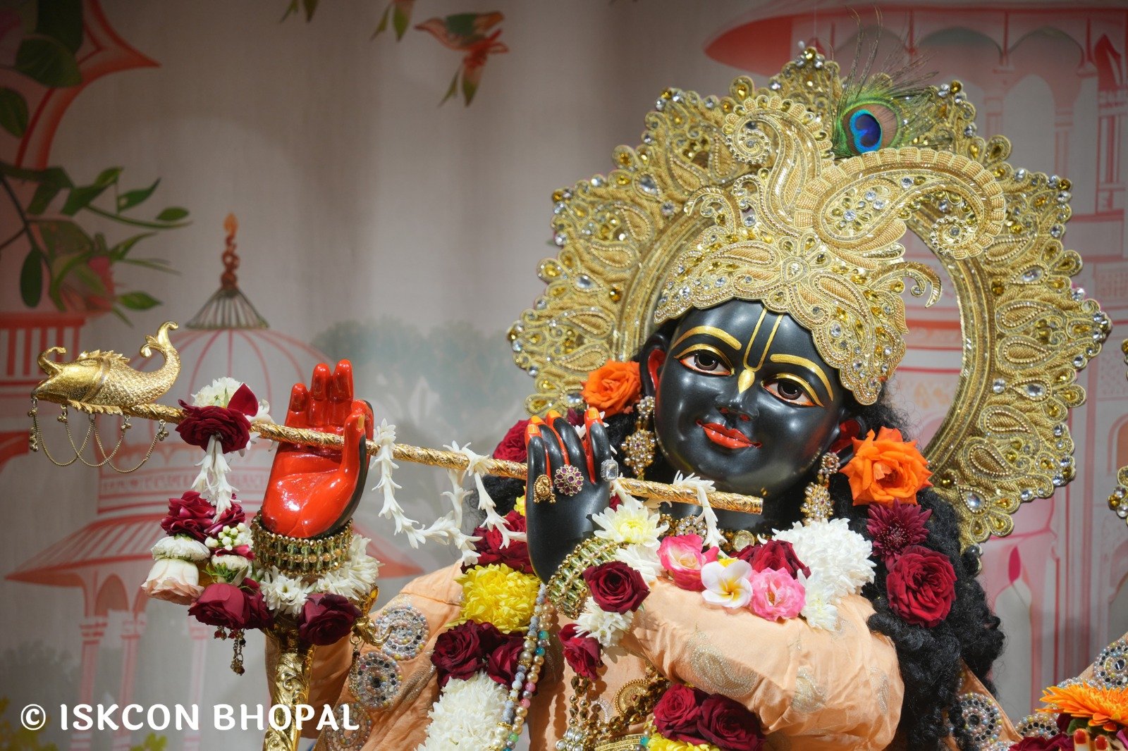 WhatsApp Image 2025-11-26 at 7.49.14 AM (3)