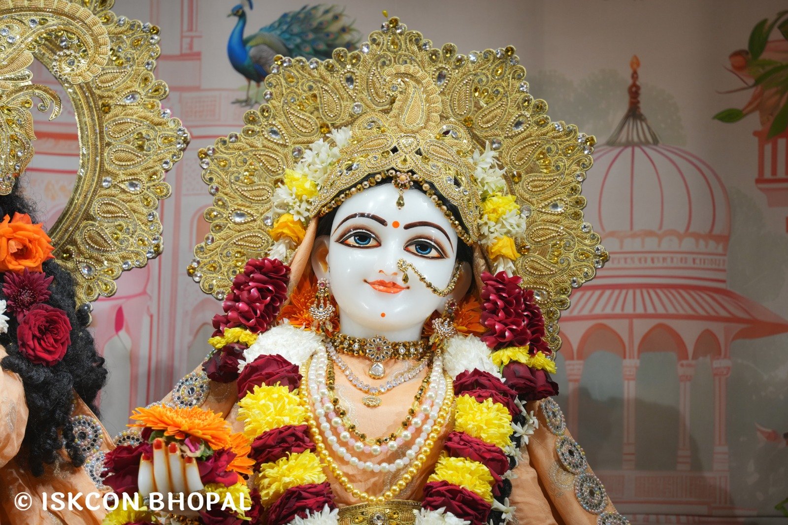 WhatsApp Image 2025-11-26 at 7.49.15 AM (1)