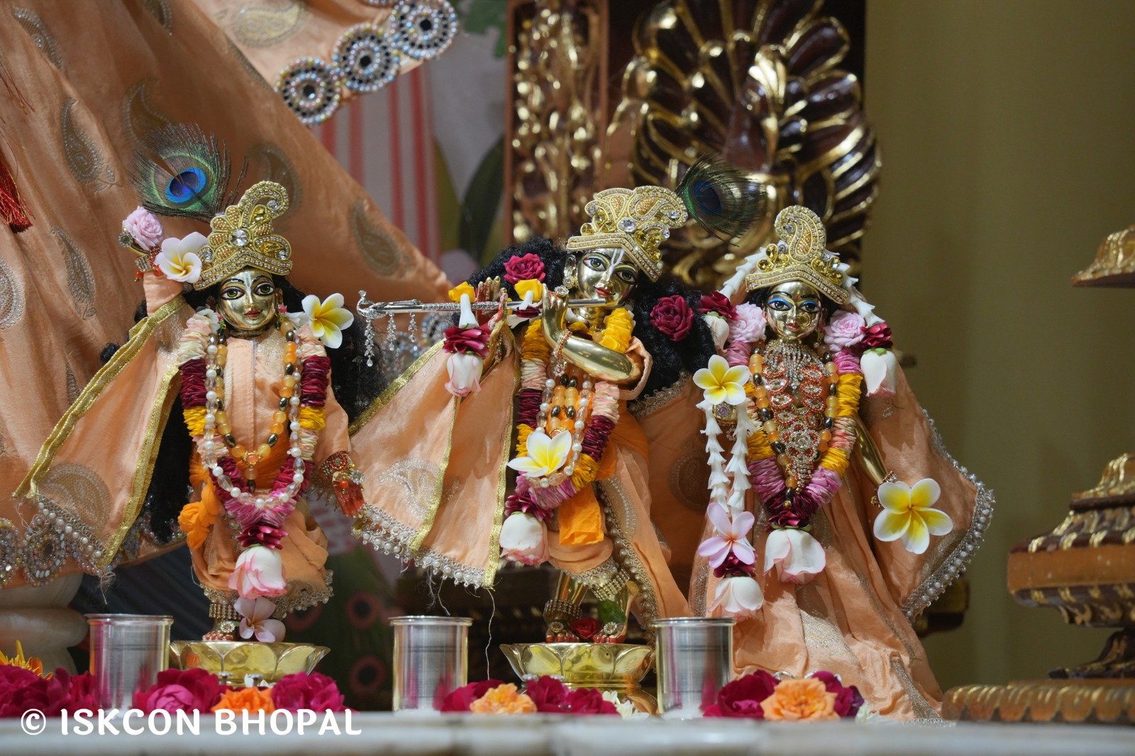 WhatsApp Image 2025-11-26 at 7.49.15 AM (4)