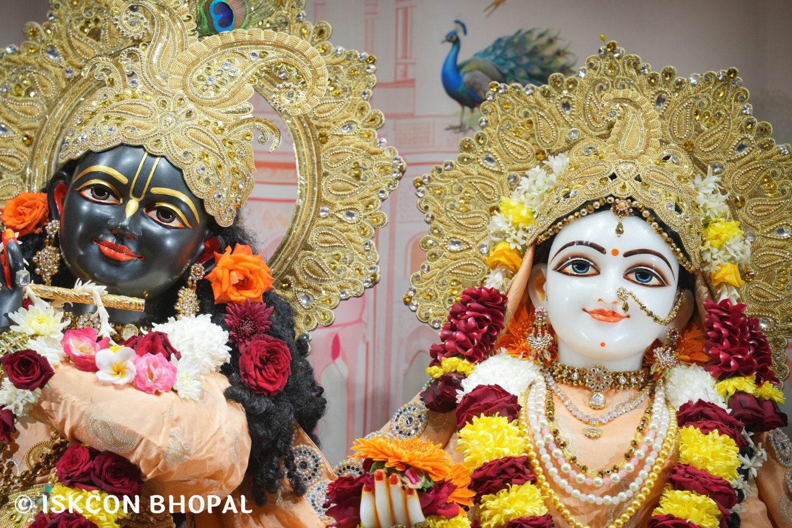 WhatsApp Image 2025-11-26 at 7.49.15 AM