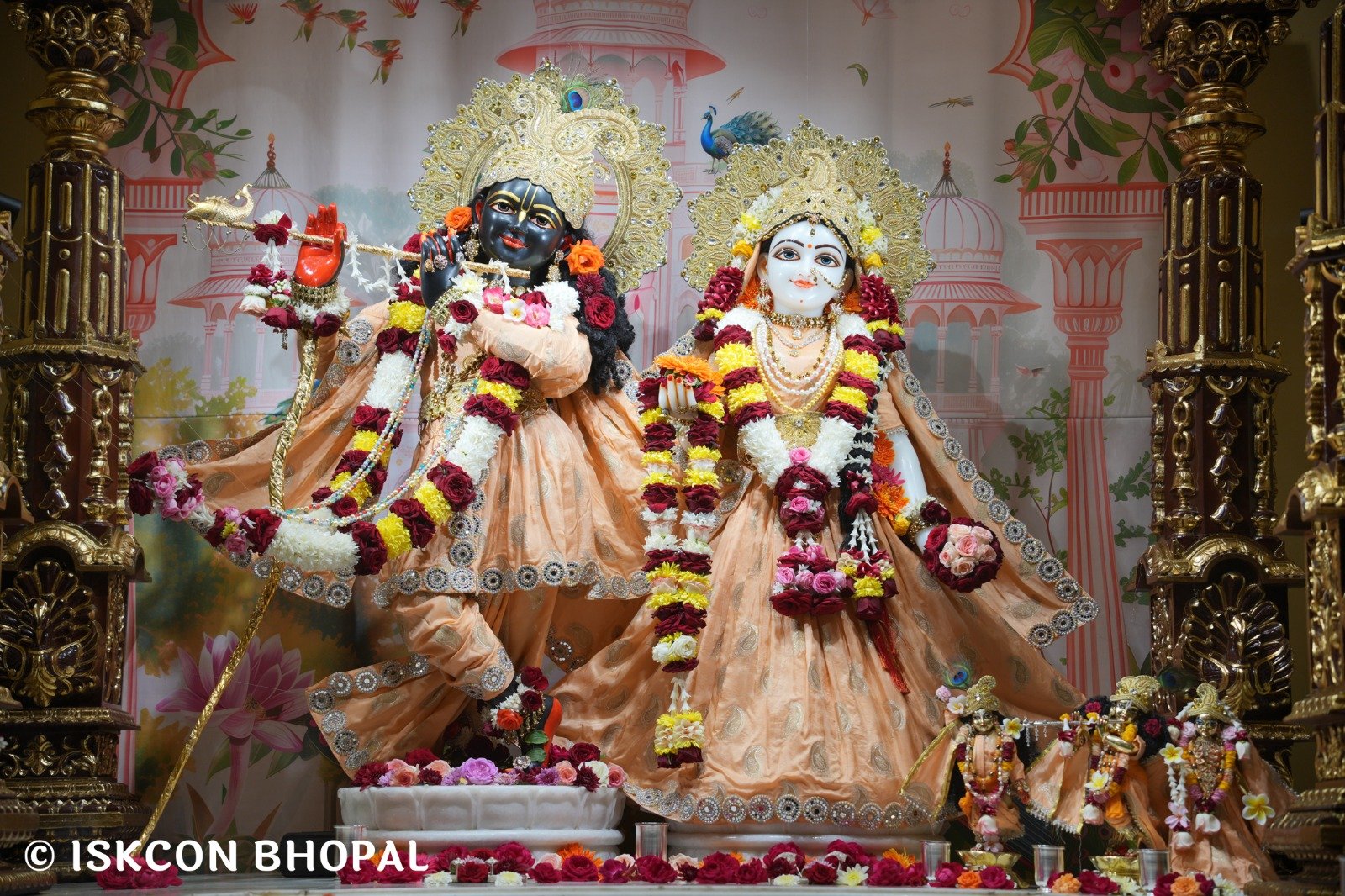 WhatsApp Image 2025-11-26 at 7.49.16 AM