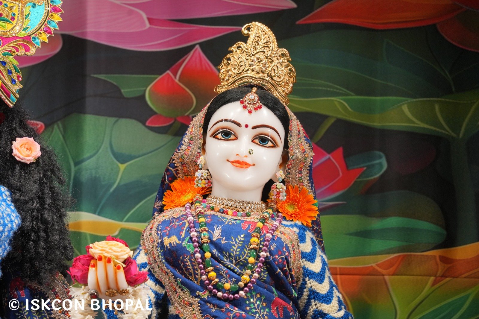 WhatsApp Image 2025-11-30 at 7.02.51 AM