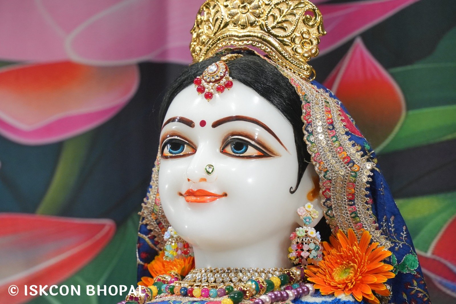 WhatsApp Image 2025-11-30 at 7.02.53 AM