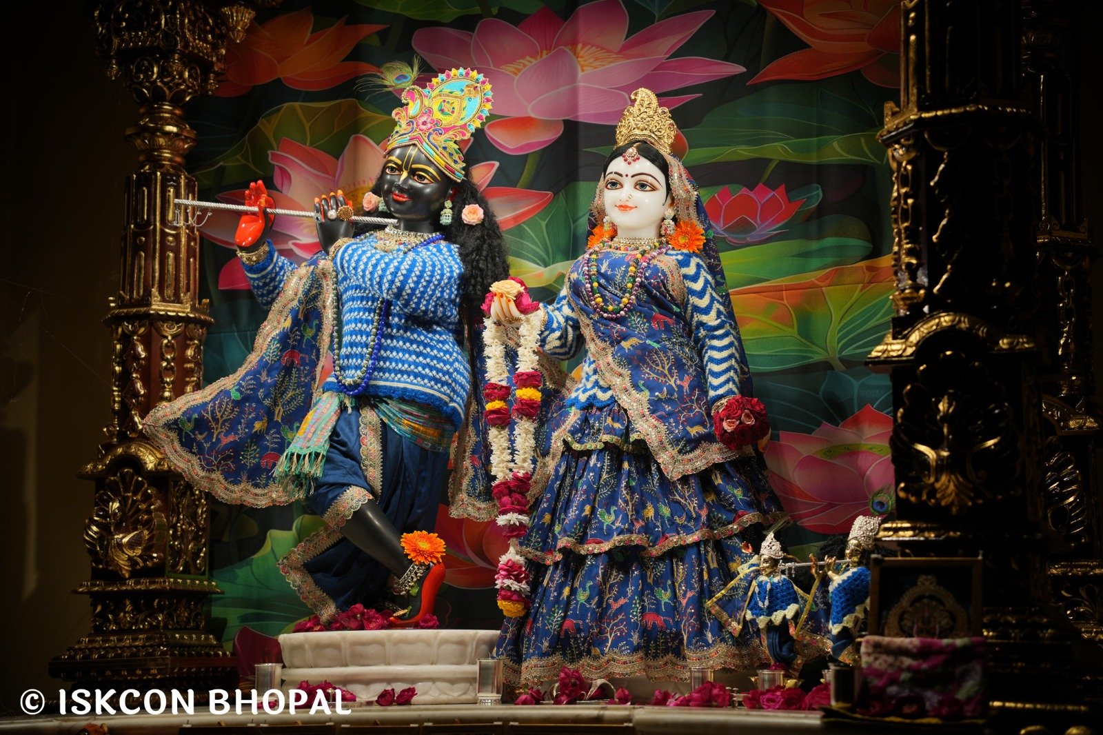 WhatsApp Image 2025-11-30 at 7.02.54 AM