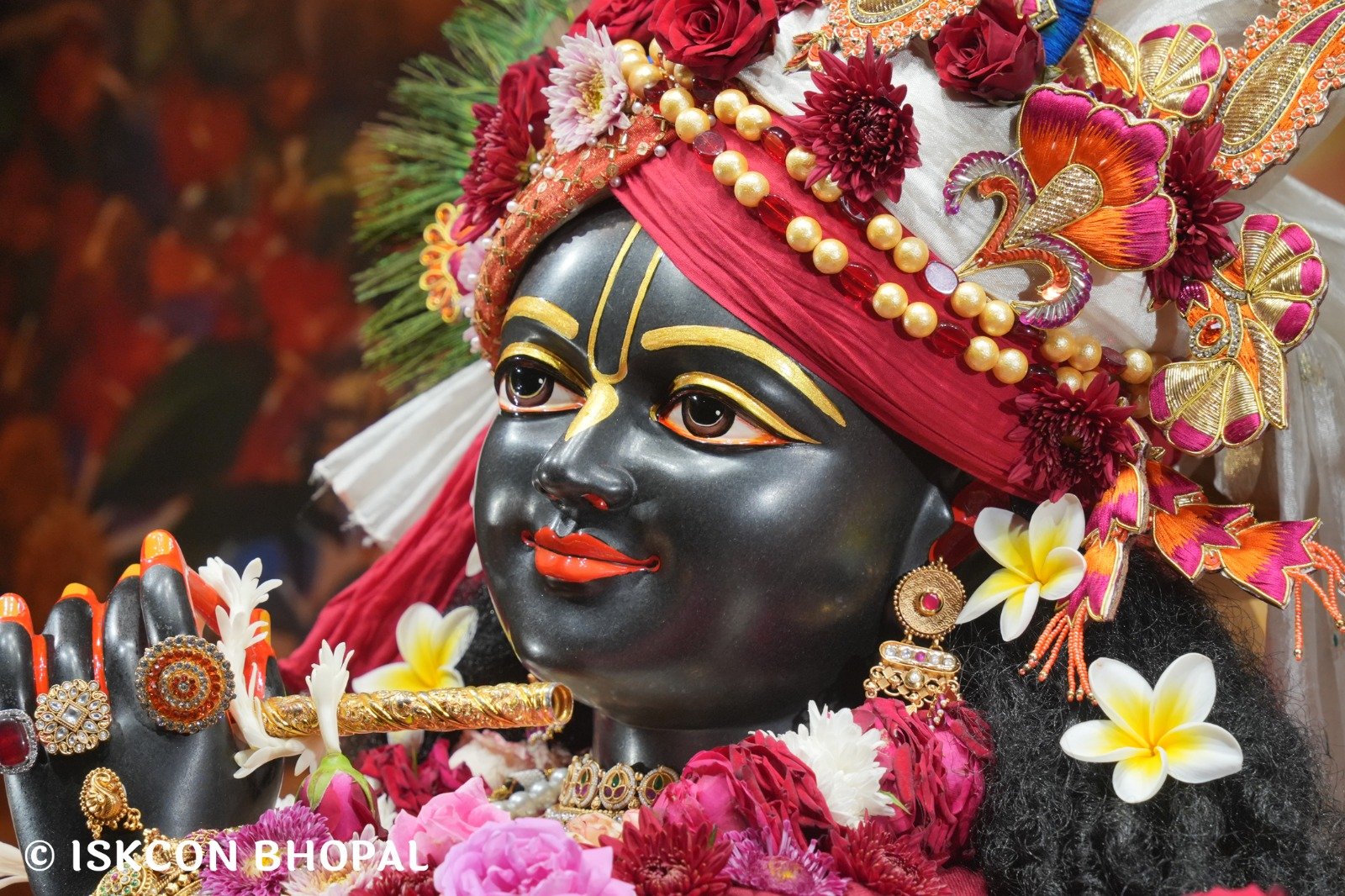 WhatsApp Image 2025-11-30 at 7.46.29 AM (1)