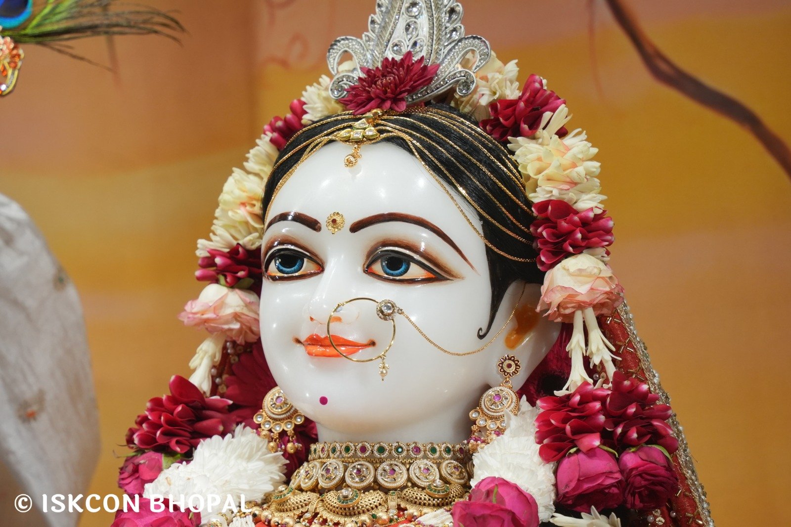 WhatsApp Image 2025-11-30 at 7.46.29 AM (2)