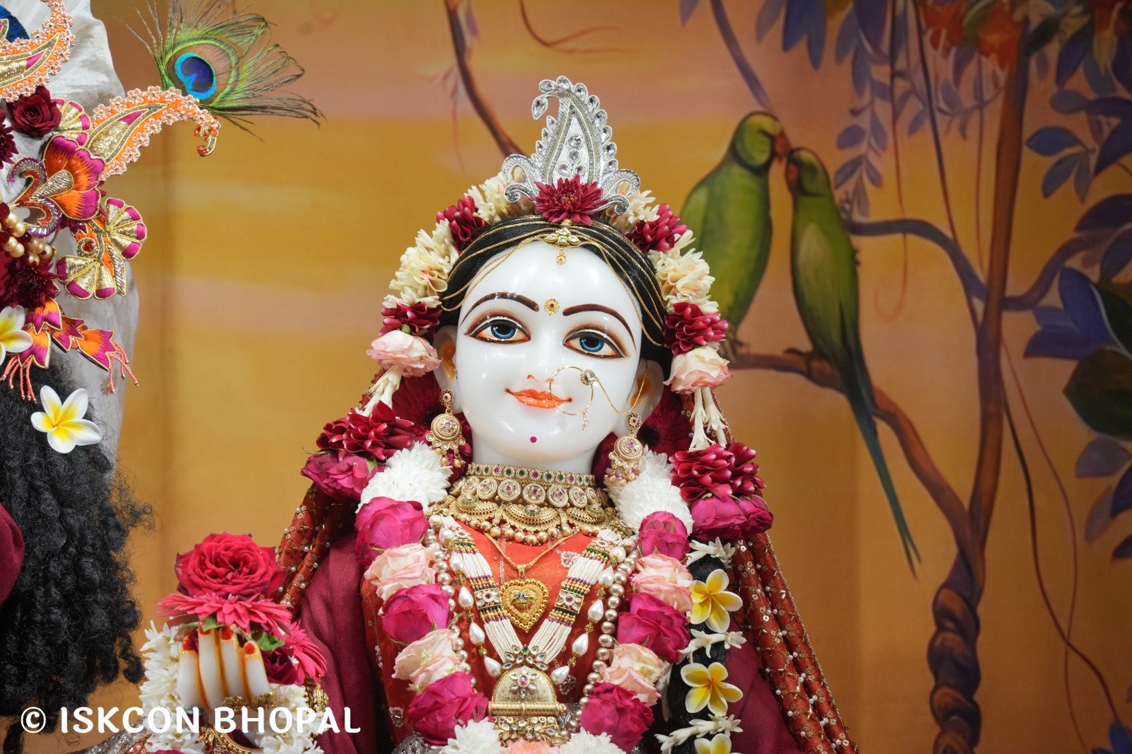 WhatsApp Image 2025-11-30 at 7.46.29 AM (3)